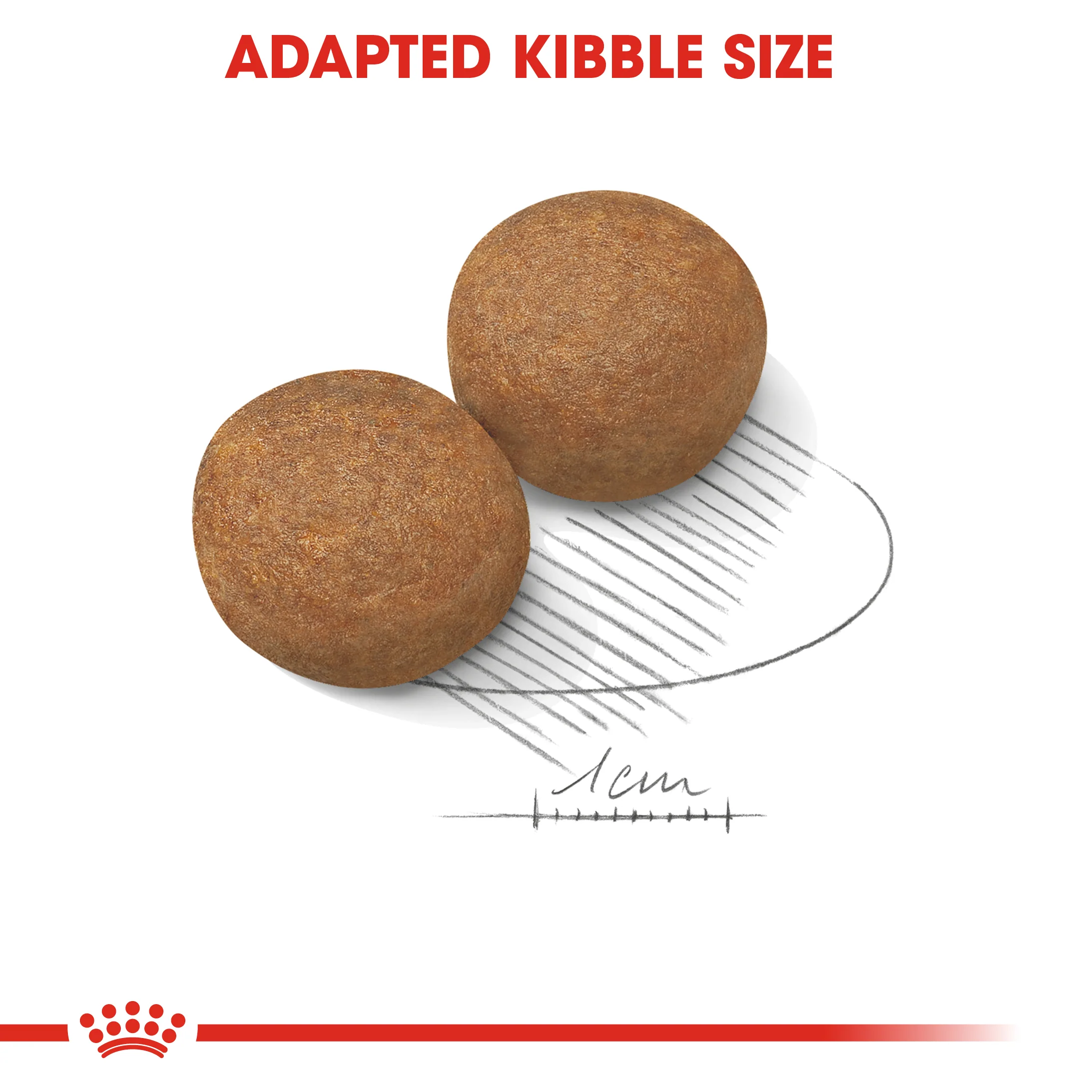 ROYAL CANIN® Maxi Adult Dry Dog Food - Image 2