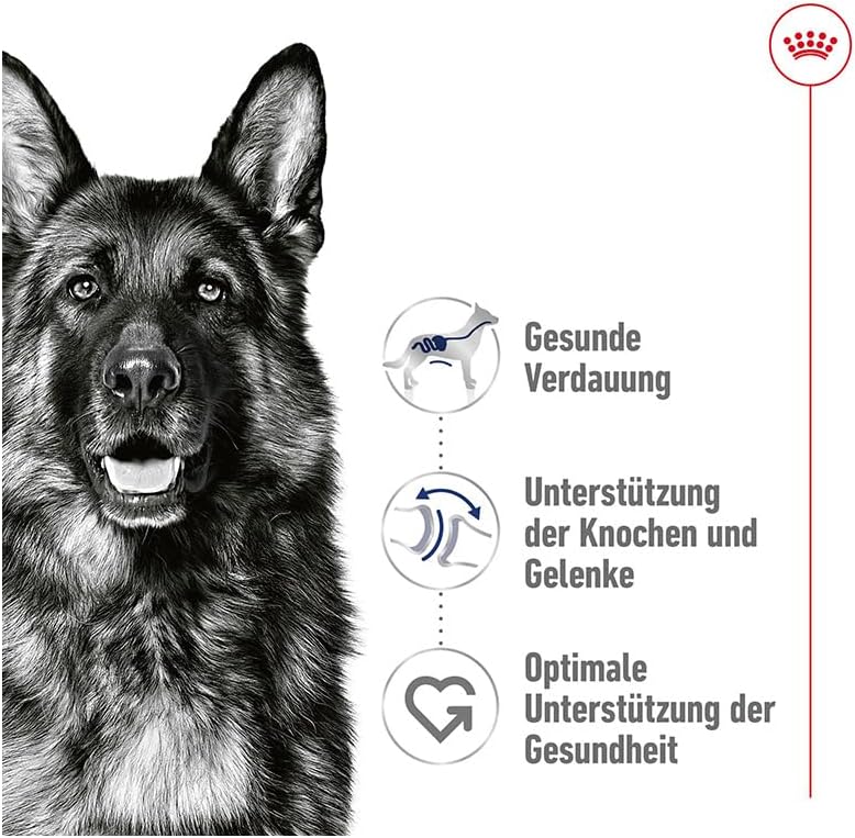 ROYAL CANIN® Maxi Adult in Loaf 410g Wet Dog Food in Cans - Image 2