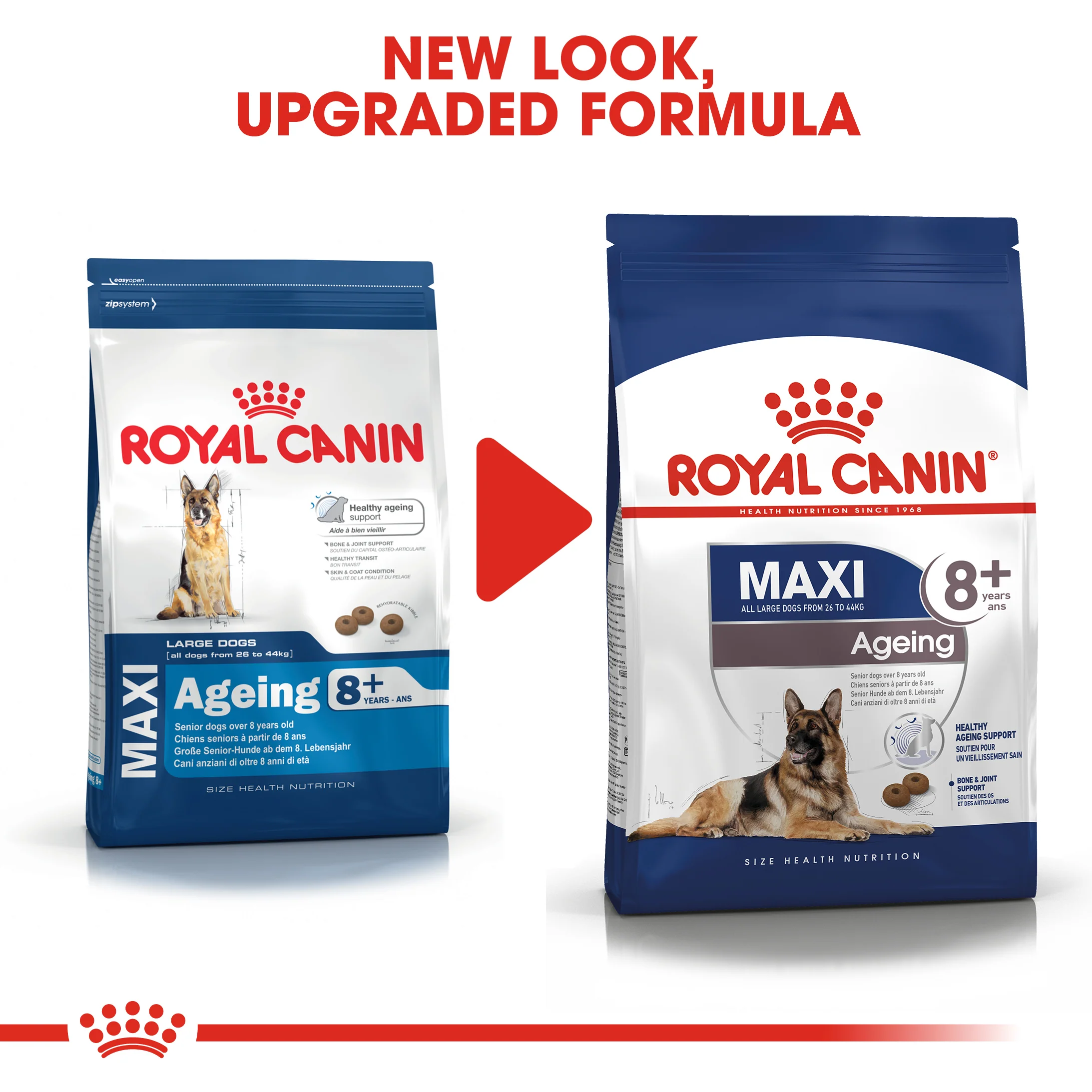 ROYAL CANIN® Maxi Ageing 8+ Dry Dog Food - Image 12
