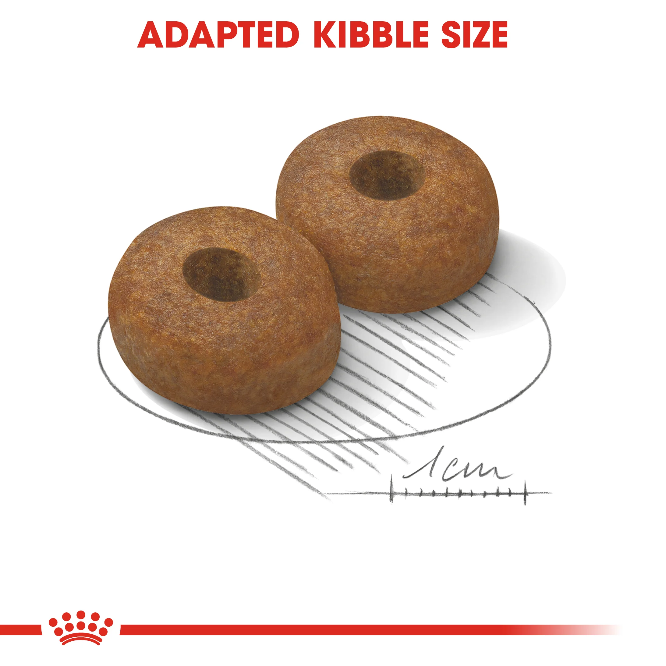 ROYAL CANIN® Maxi Ageing 8+ Dry Dog Food - Image 2