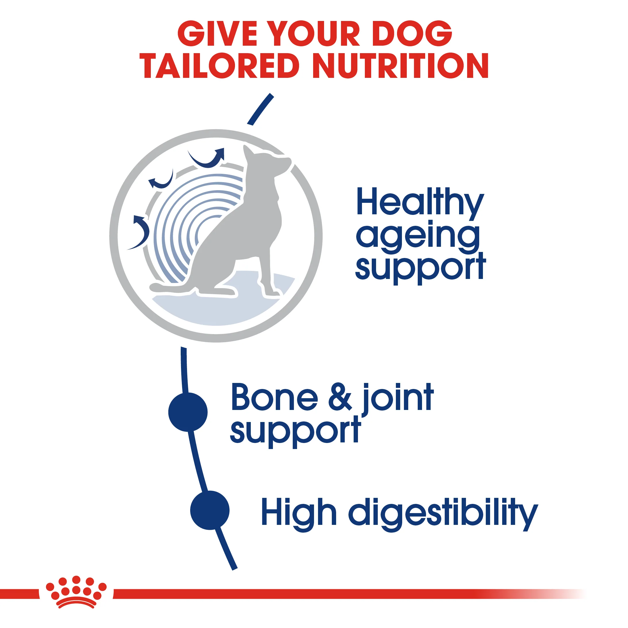 ROYAL CANIN® Maxi Ageing 8+ Dry Dog Food - Image 6