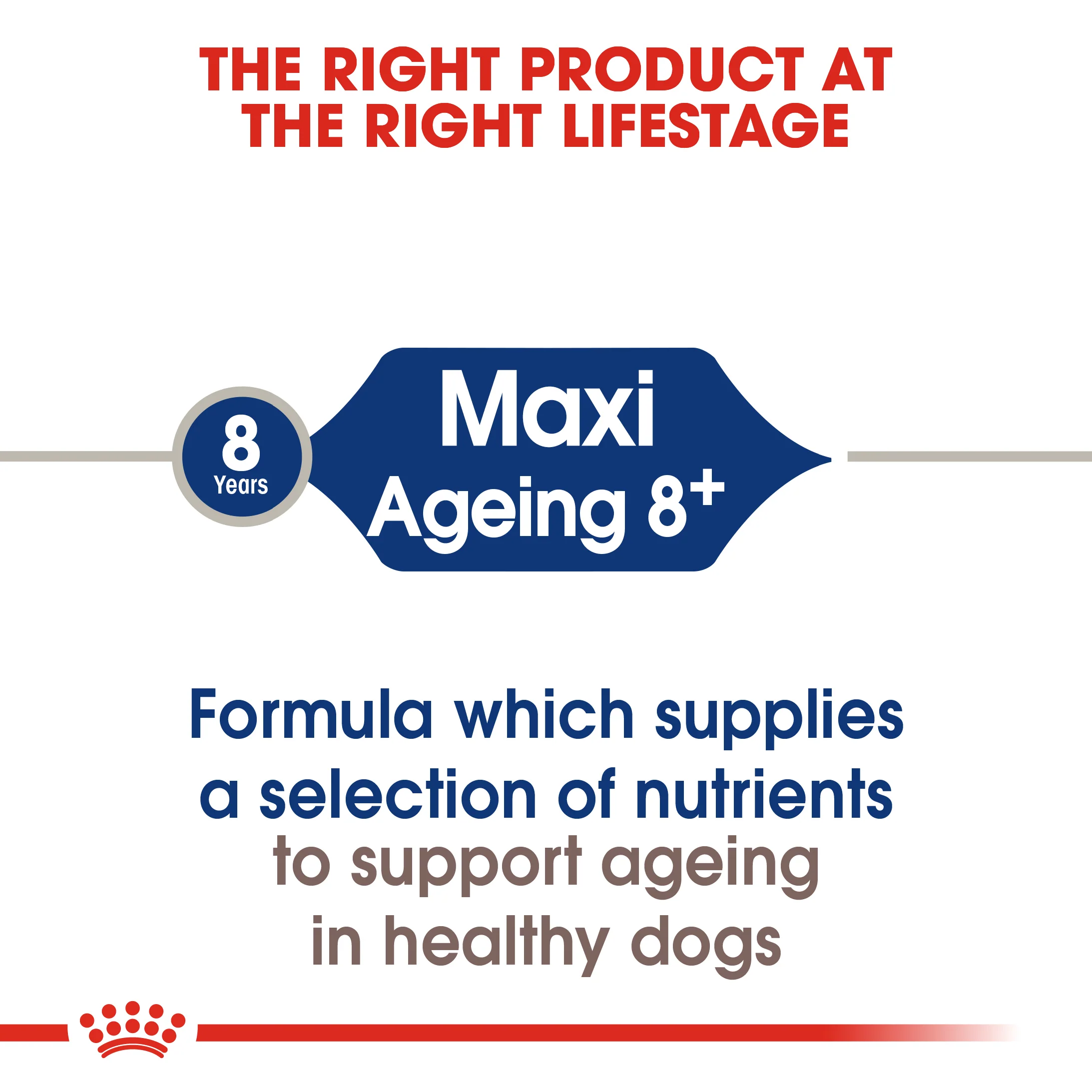 ROYAL CANIN® Maxi Ageing 8+ Dry Dog Food - Image 7