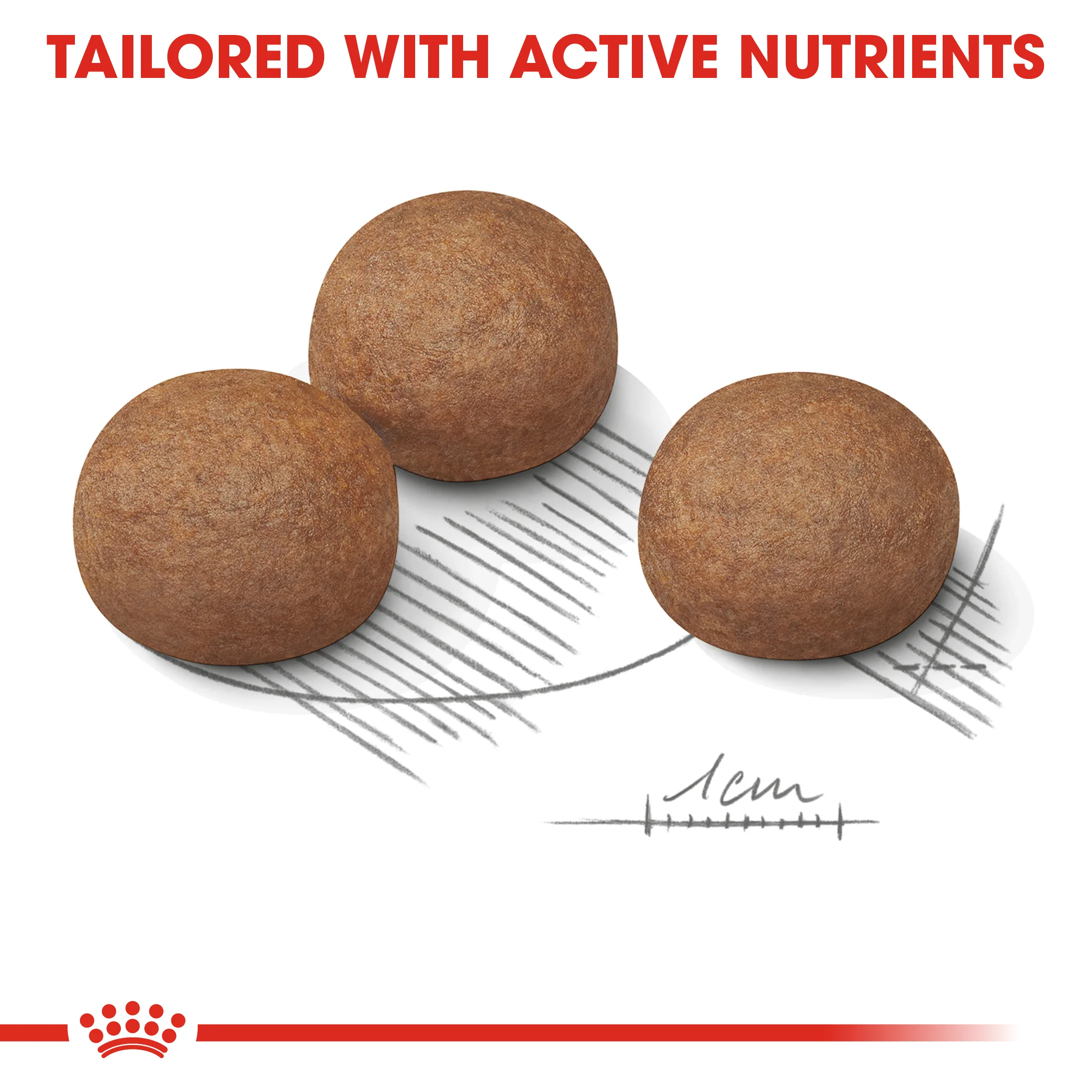 ROYAL CANIN® Maxi Digestive Care Adult Dry Dog Food - Image 2