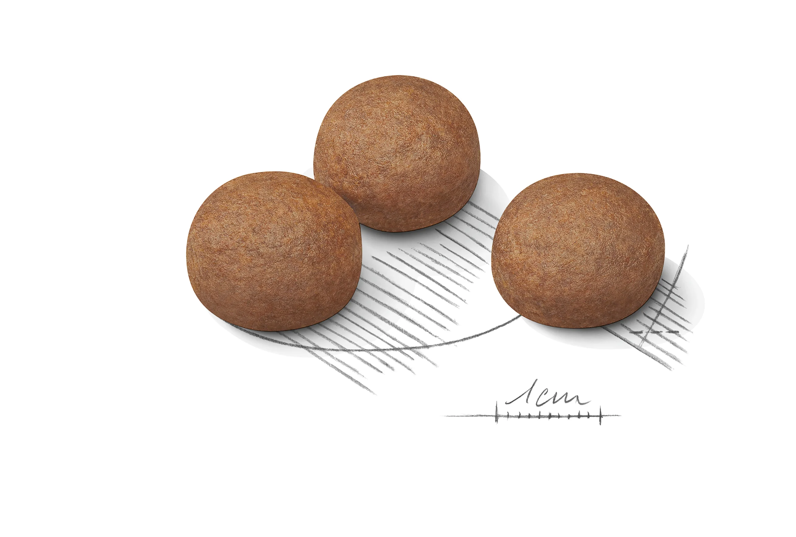 ROYAL CANIN® Maxi Digestive Care Adult Dry Dog Food - Image 7