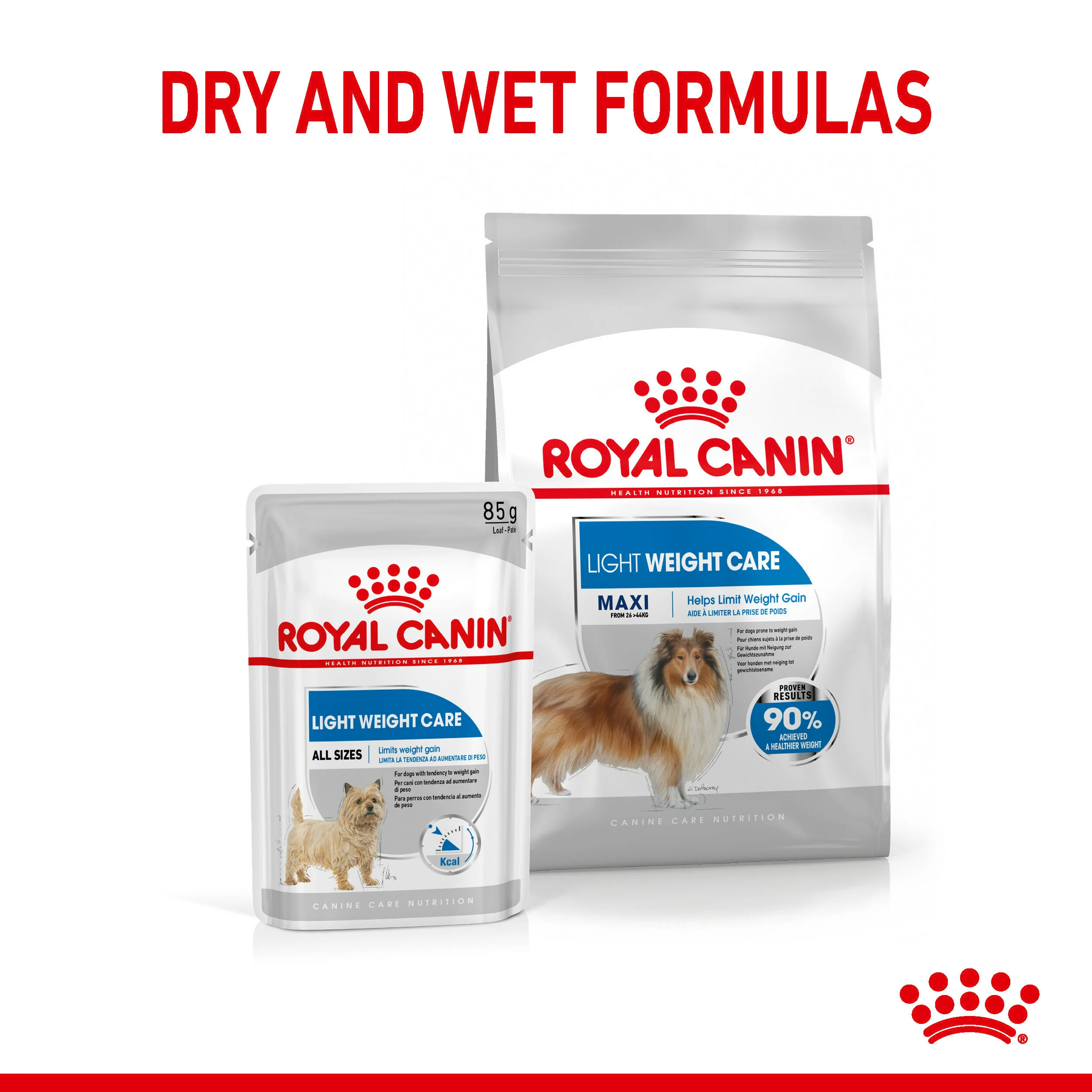 ROYAL CANIN® Maxi Light Weight Care Adult Dry Dog Food - Image 8