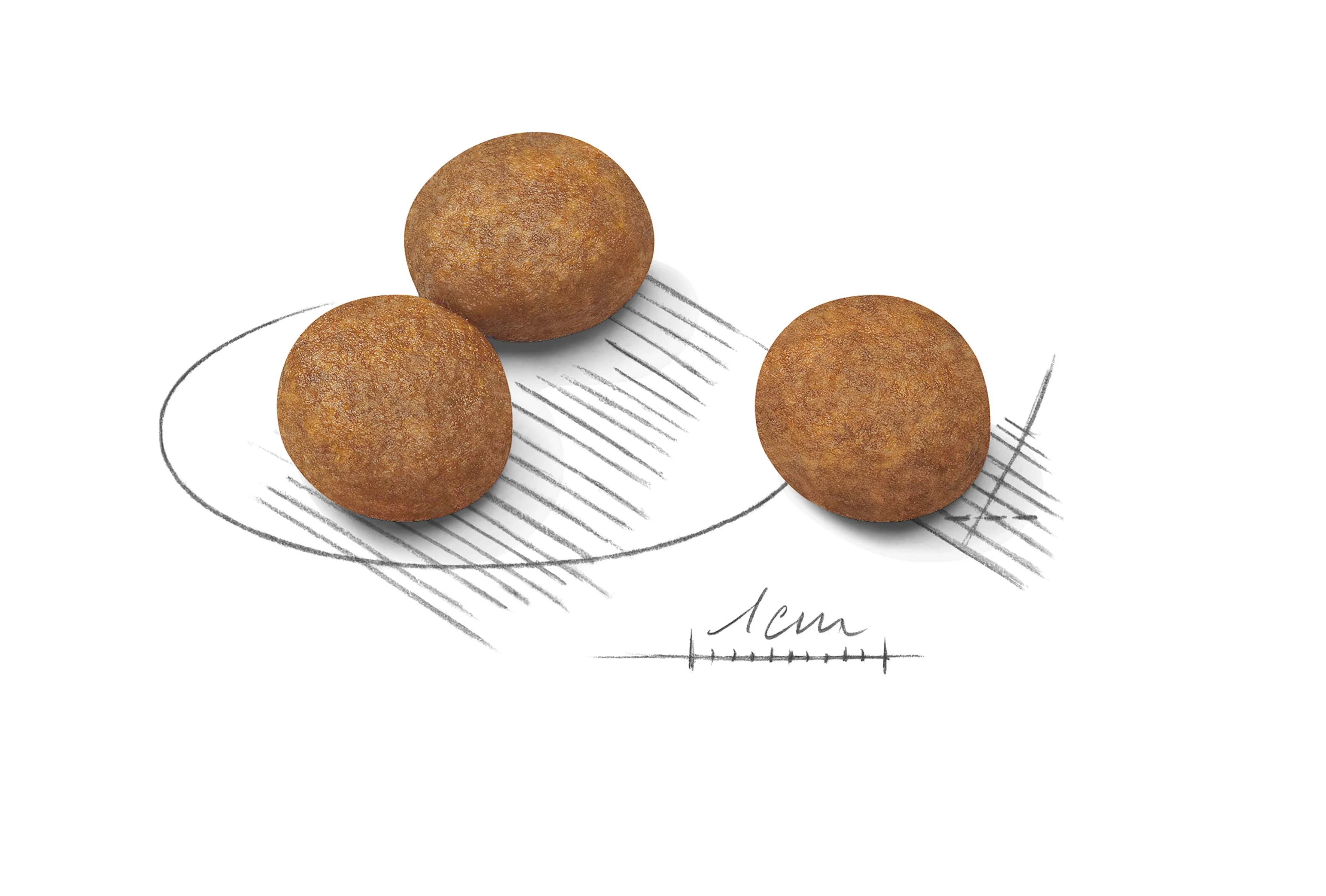 ROYAL CANIN® Maxi Puppy Dry Dog Food - Image 12