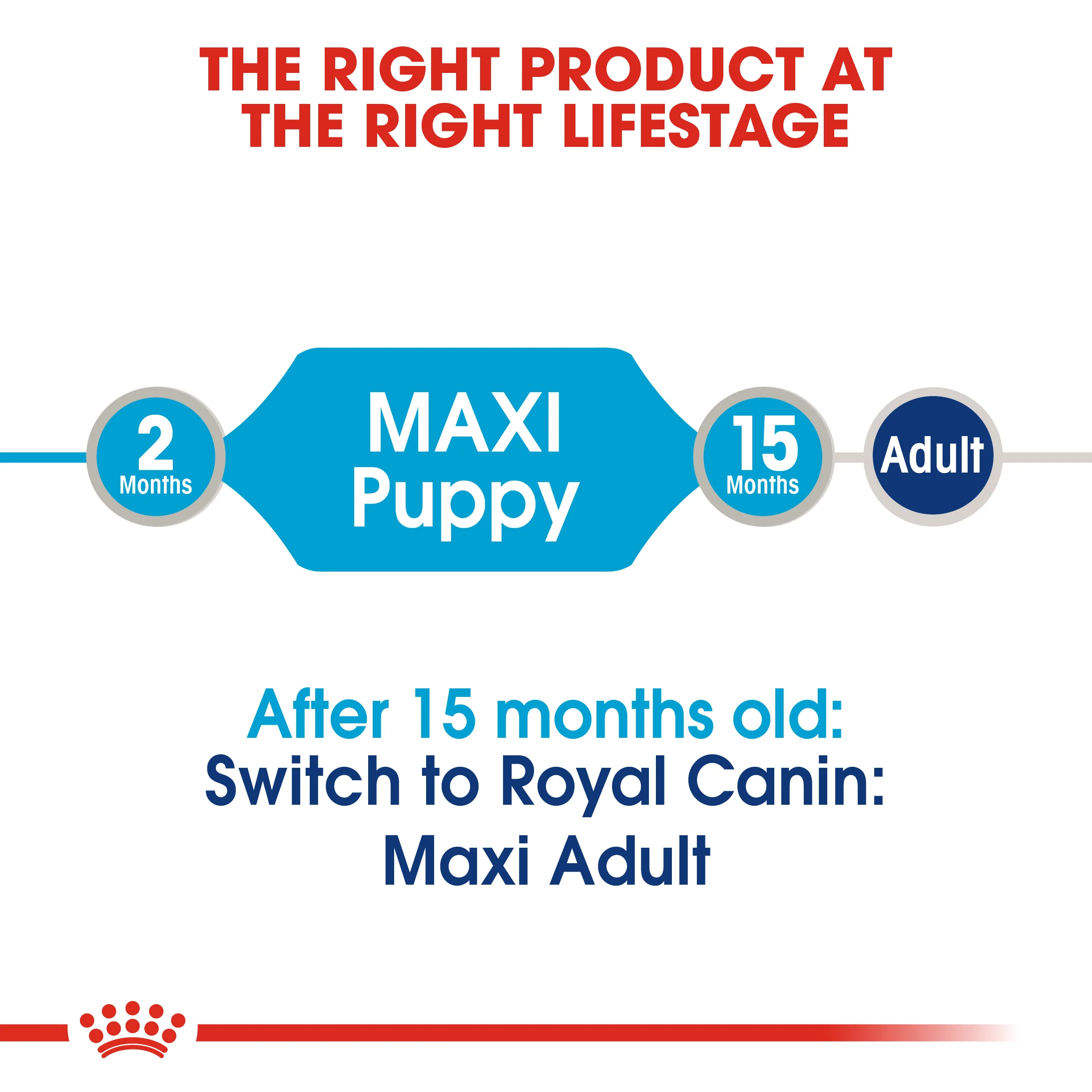 ROYAL CANIN® Maxi Puppy in Gravy Wet Food - Image 11