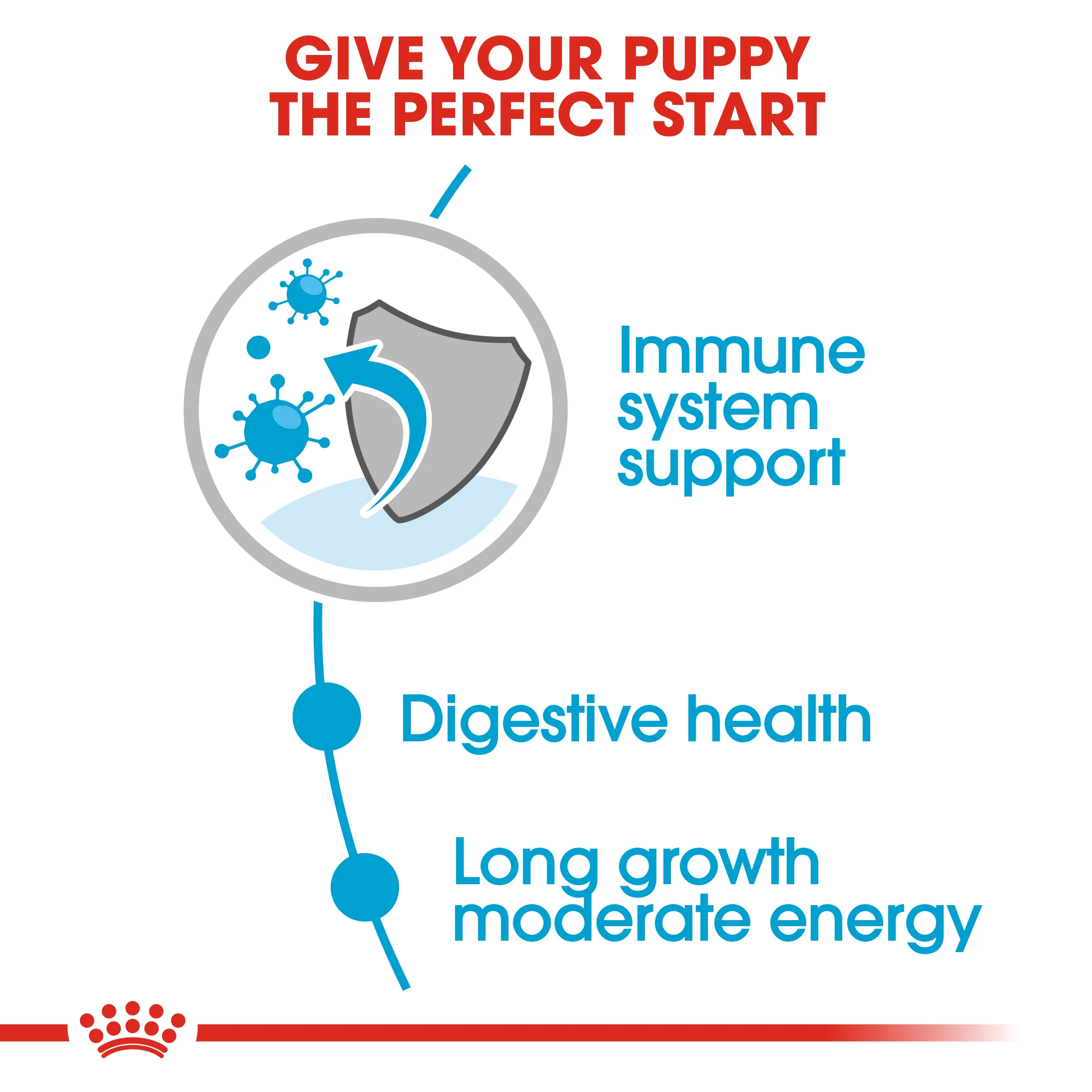 ROYAL CANIN® Maxi Puppy in Gravy Wet Food - Image 12