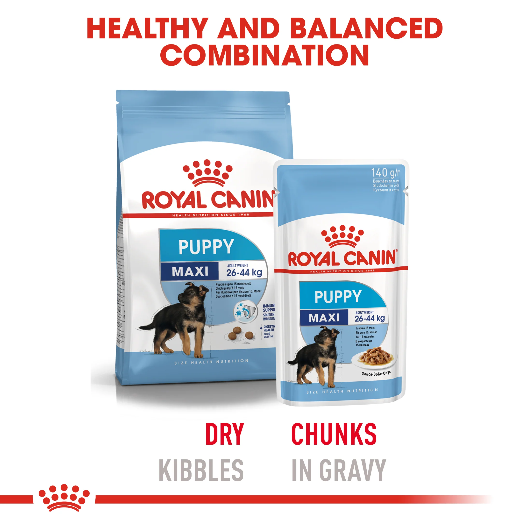 ROYAL CANIN® Maxi Puppy in Gravy Wet Food - Image 13