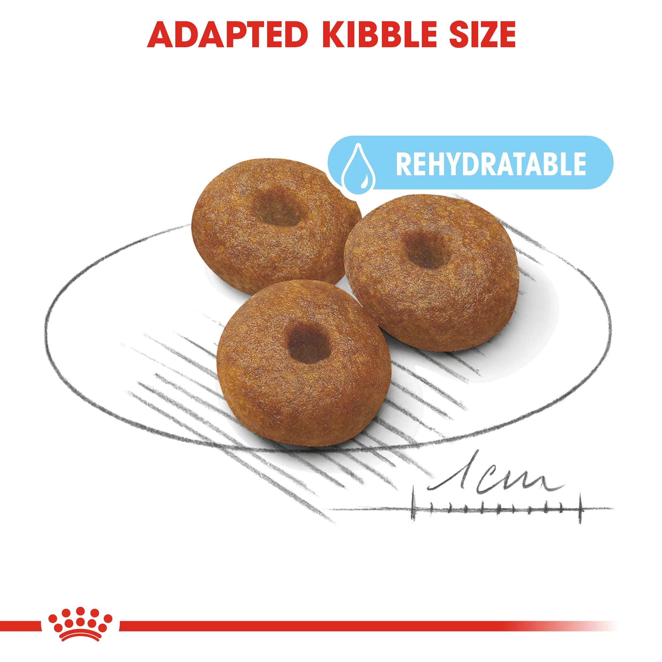 ROYAL CANIN® Maxi Starter Mother & Babydog Adult and Puppy Dry Food - Image 2