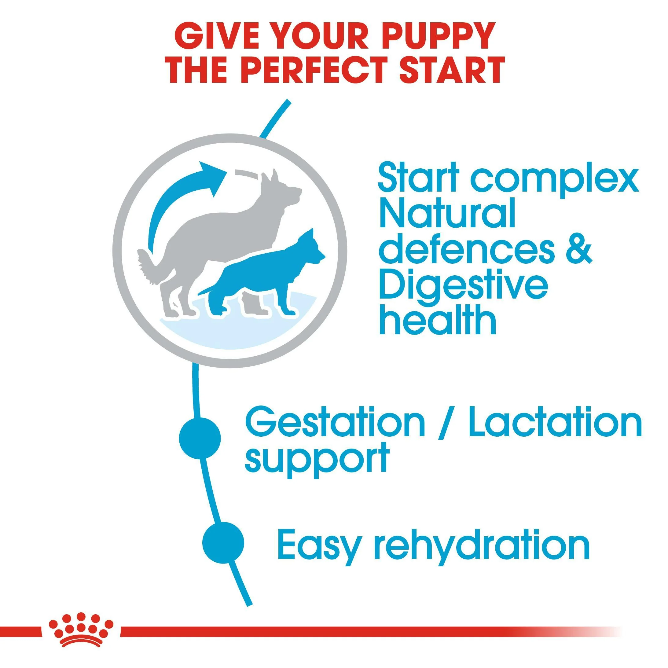 ROYAL CANIN® Maxi Starter Mother & Babydog Adult and Puppy Dry Food - Image 5