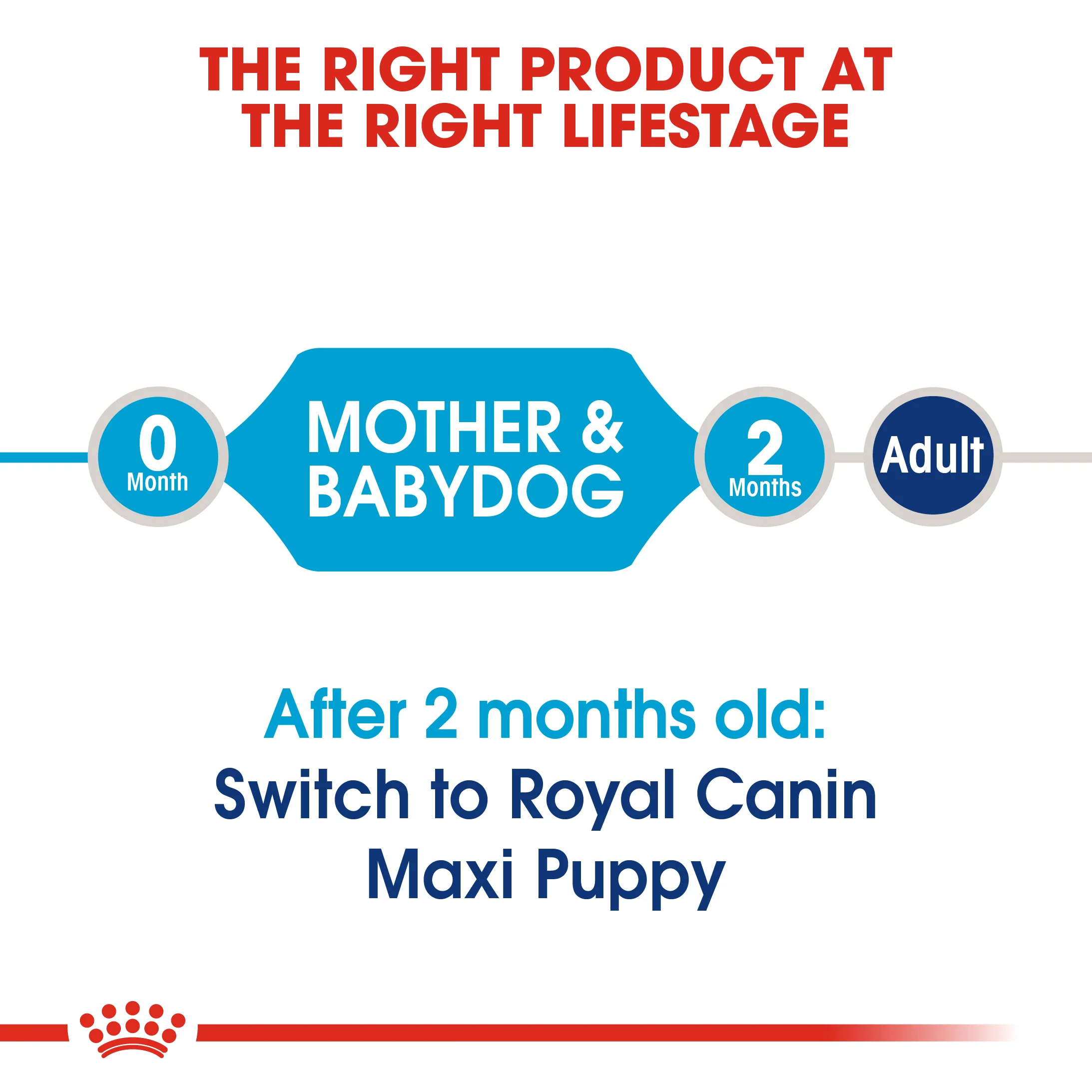 ROYAL CANIN® Maxi Starter Mother & Babydog Adult and Puppy Dry Food - Image 6