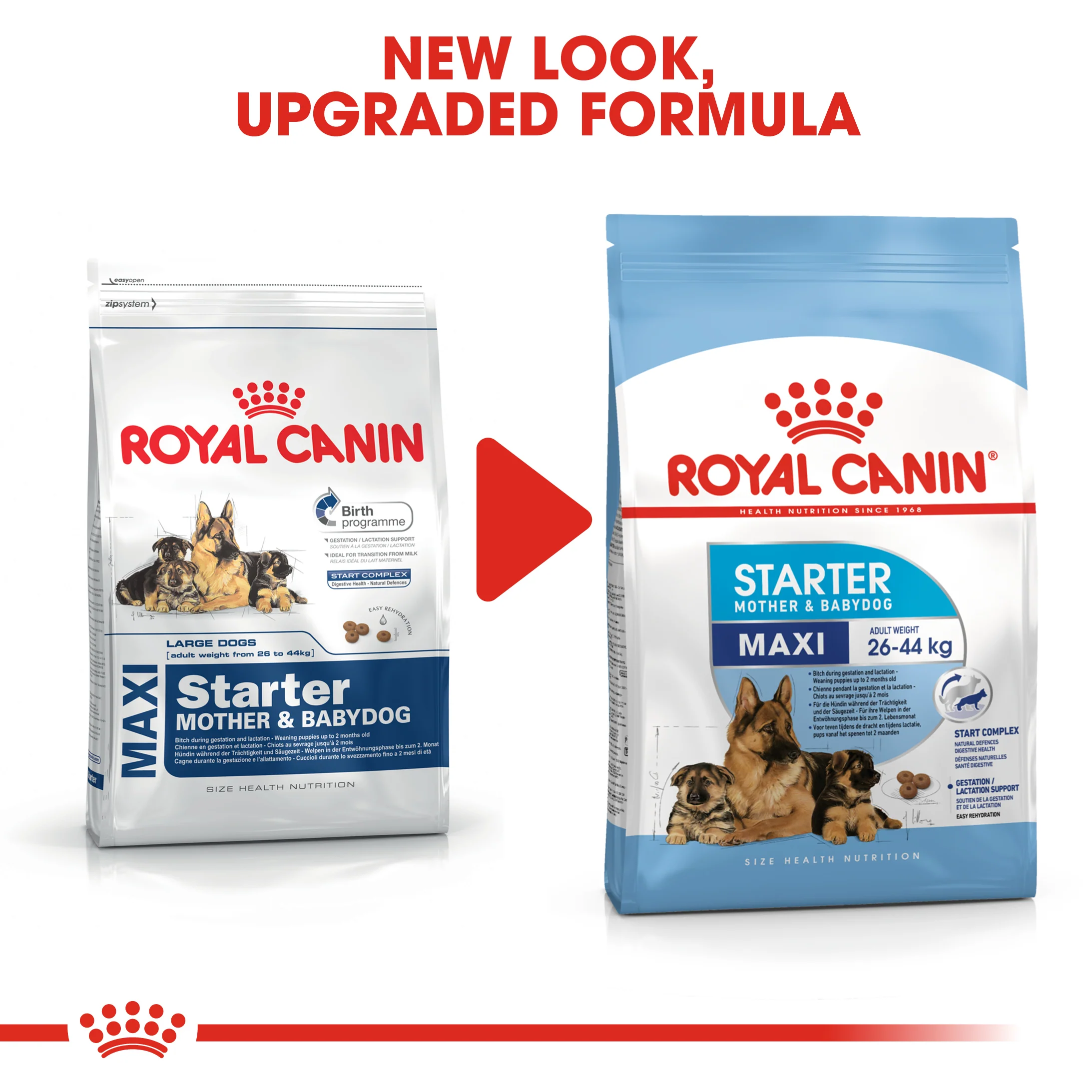 ROYAL CANIN® Maxi Starter Mother & Babydog Adult and Puppy Dry Food - Image 8