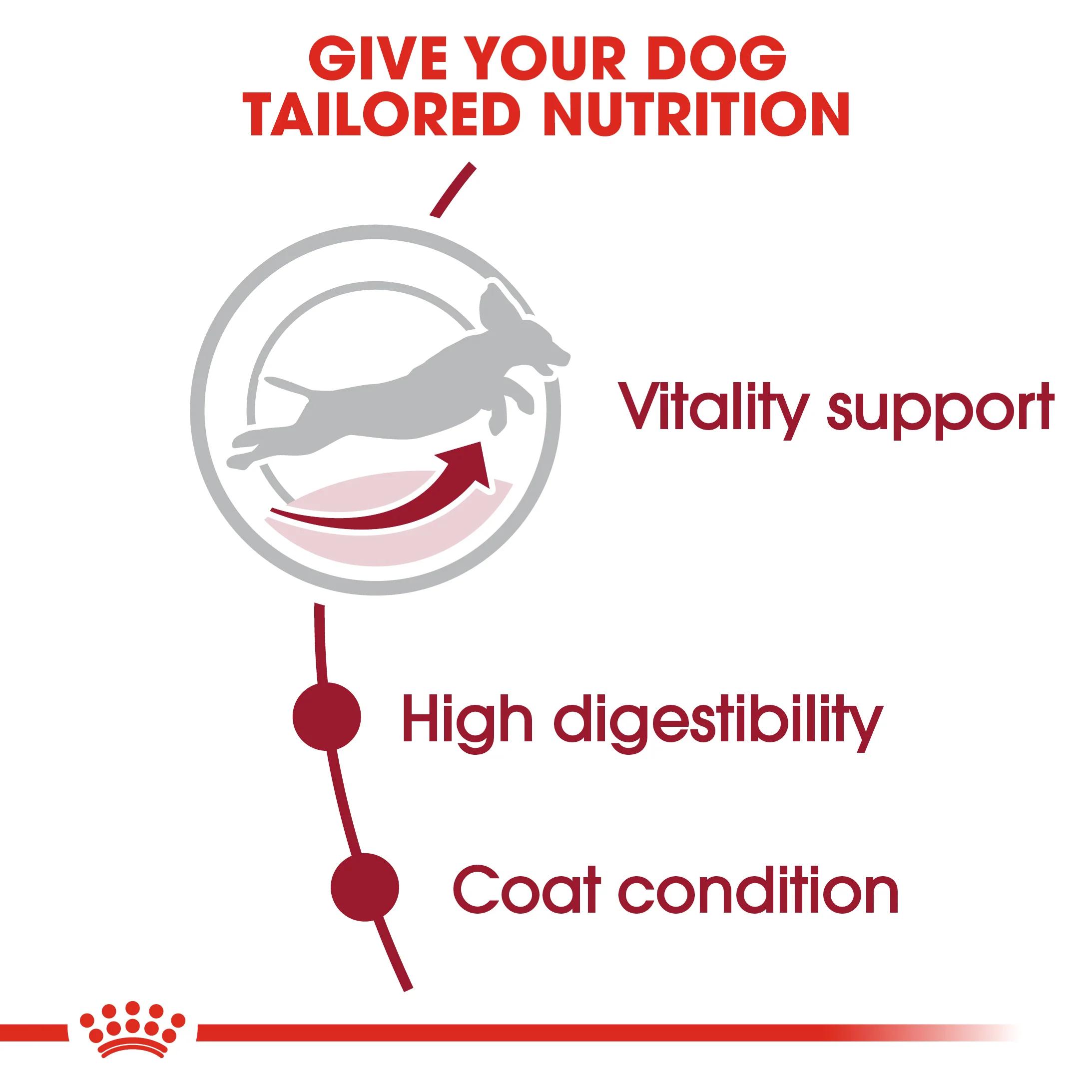 ROYAL CANIN® Medium Adult 7+ Dry Dog Food - Image 6