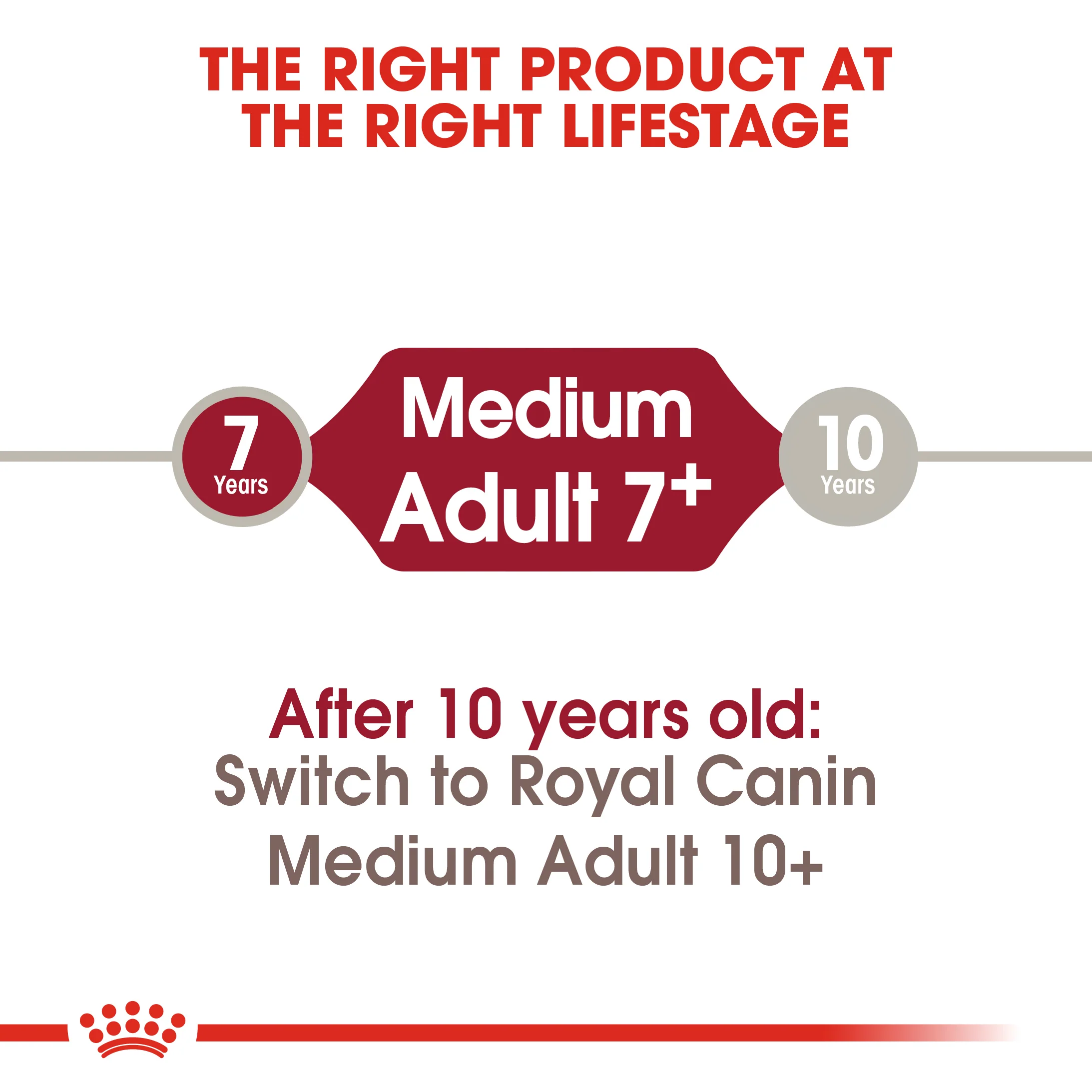 ROYAL CANIN® Medium Adult 7+ Dry Dog Food - Image 8