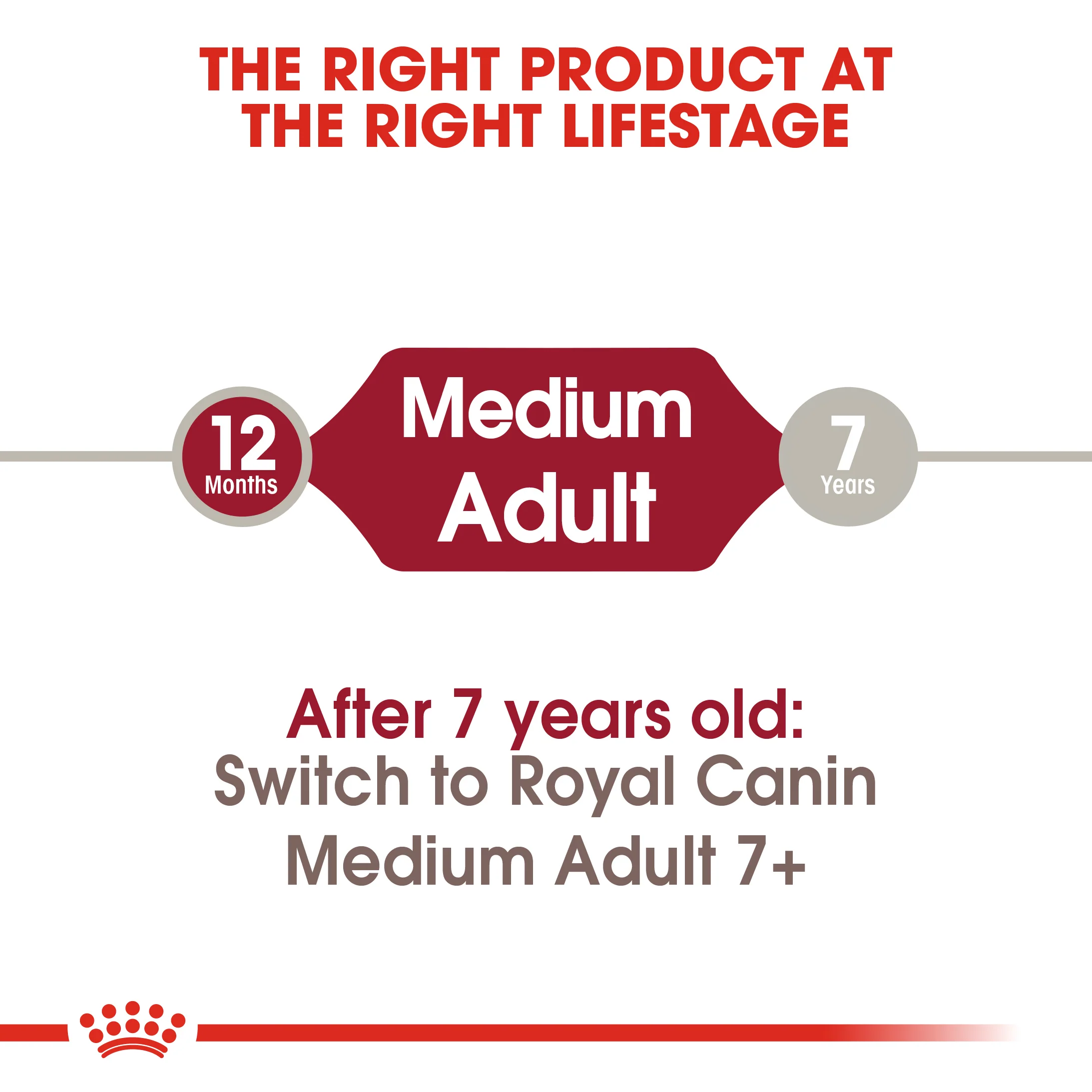 ROYAL CANIN® Medium Adult Dry Dog Food - Image 9