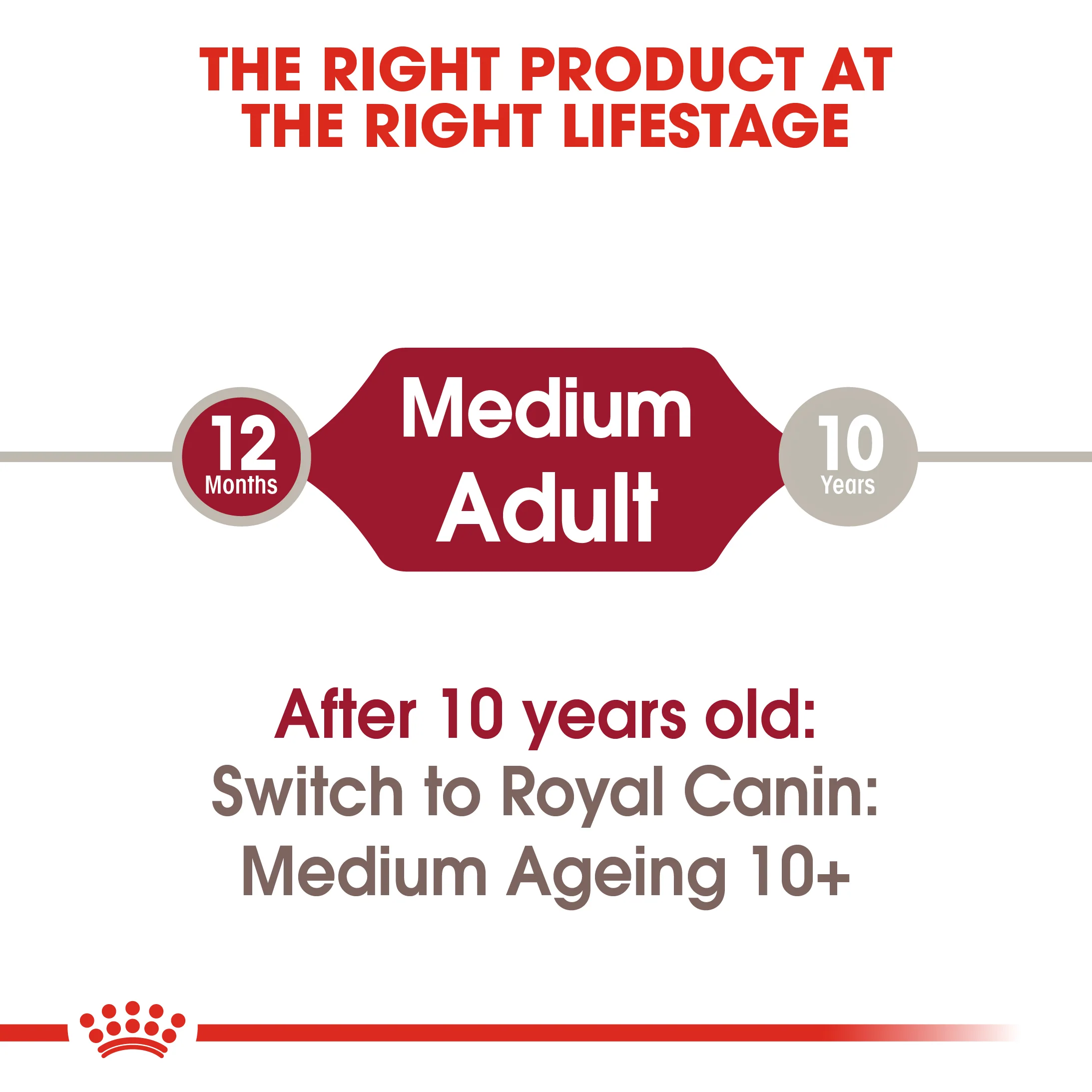 ROYAL CANIN® Medium Adult in Gravy Wet Dog Food - Image 11