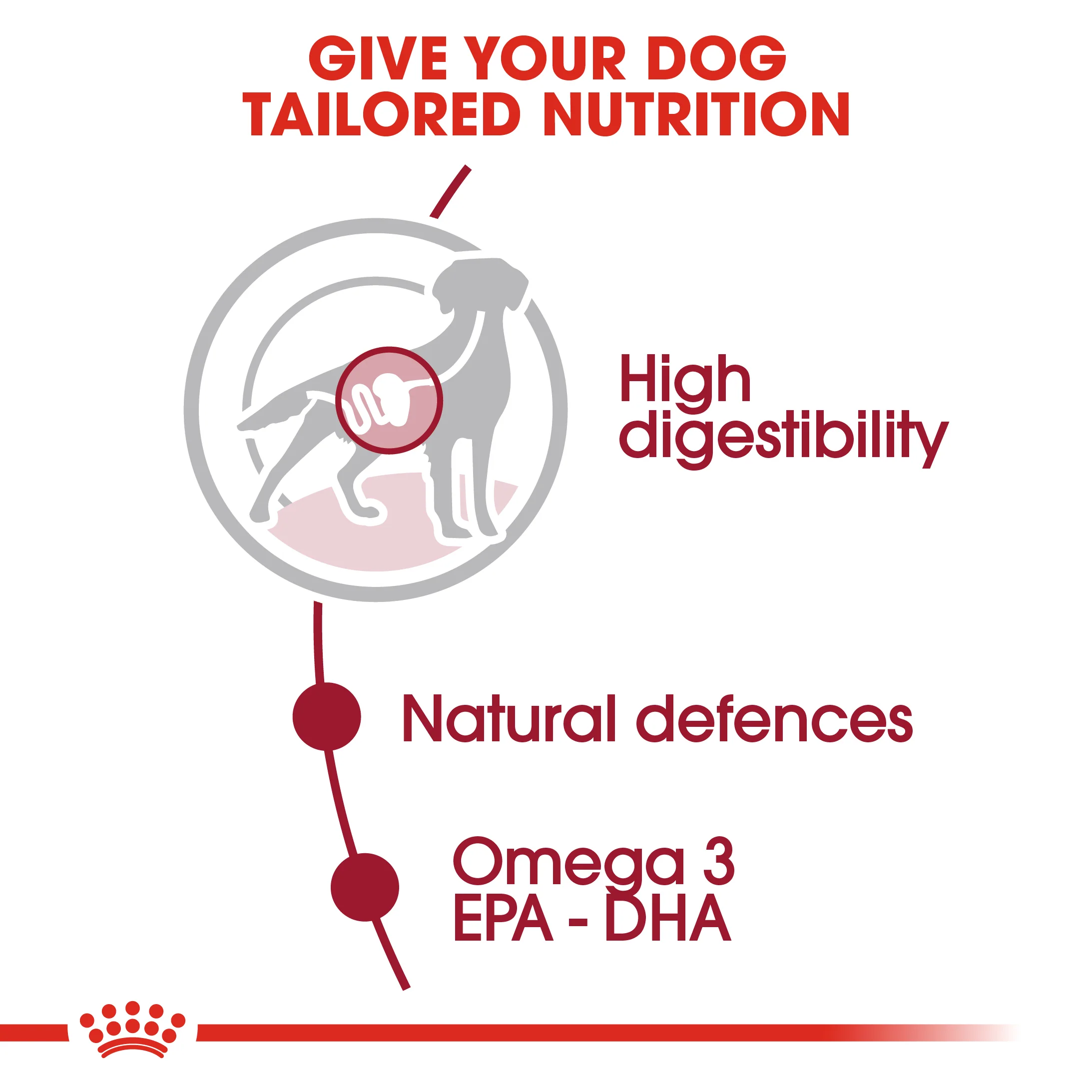 ROYAL CANIN® Medium Adult in Gravy Wet Dog Food - Image 12