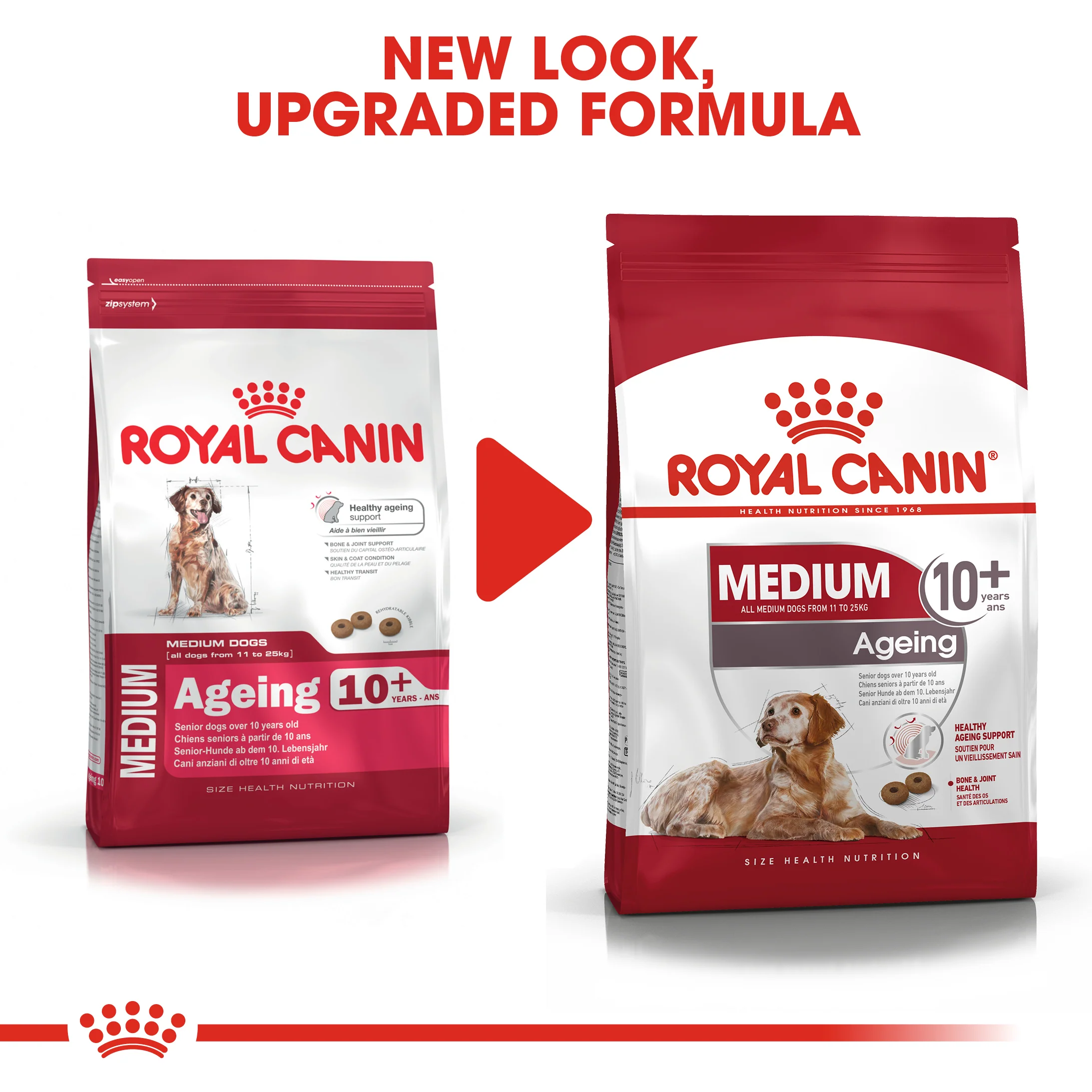 ROYAL CANIN® Medium Ageing 10+ Senior Dry Dog Food - Image 12