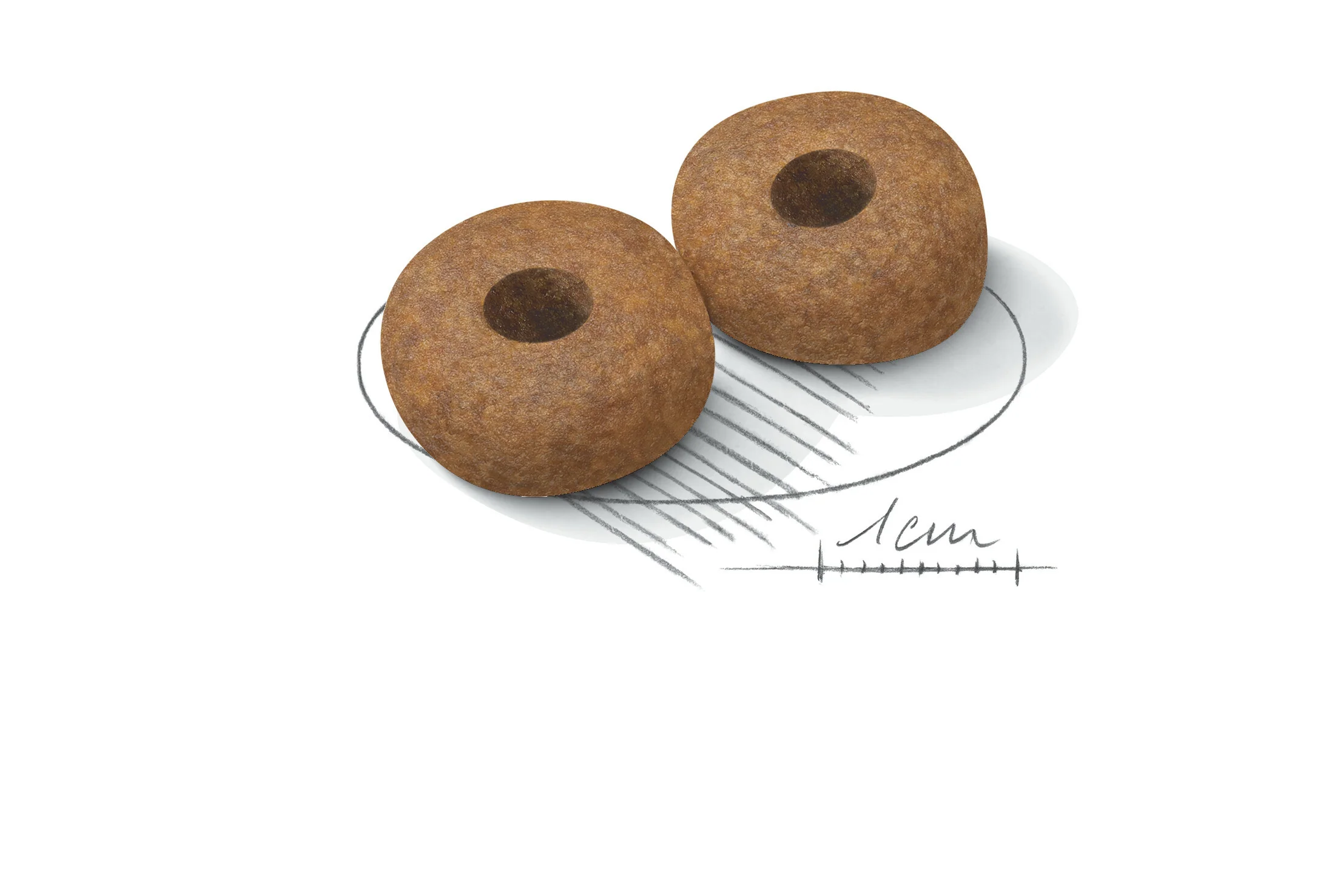 ROYAL CANIN® Medium Ageing 10+ Senior Dry Dog Food - Image 3