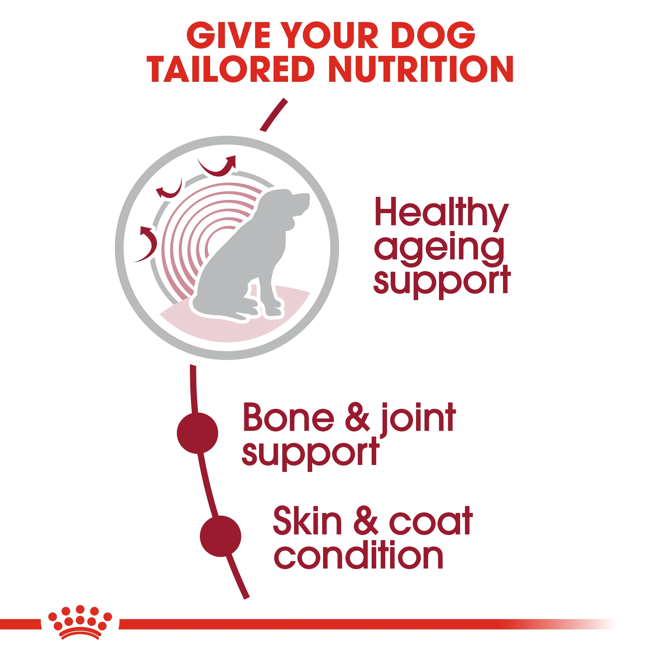 ROYAL CANIN® Medium Ageing 10+ Senior Dry Dog Food - Image 6