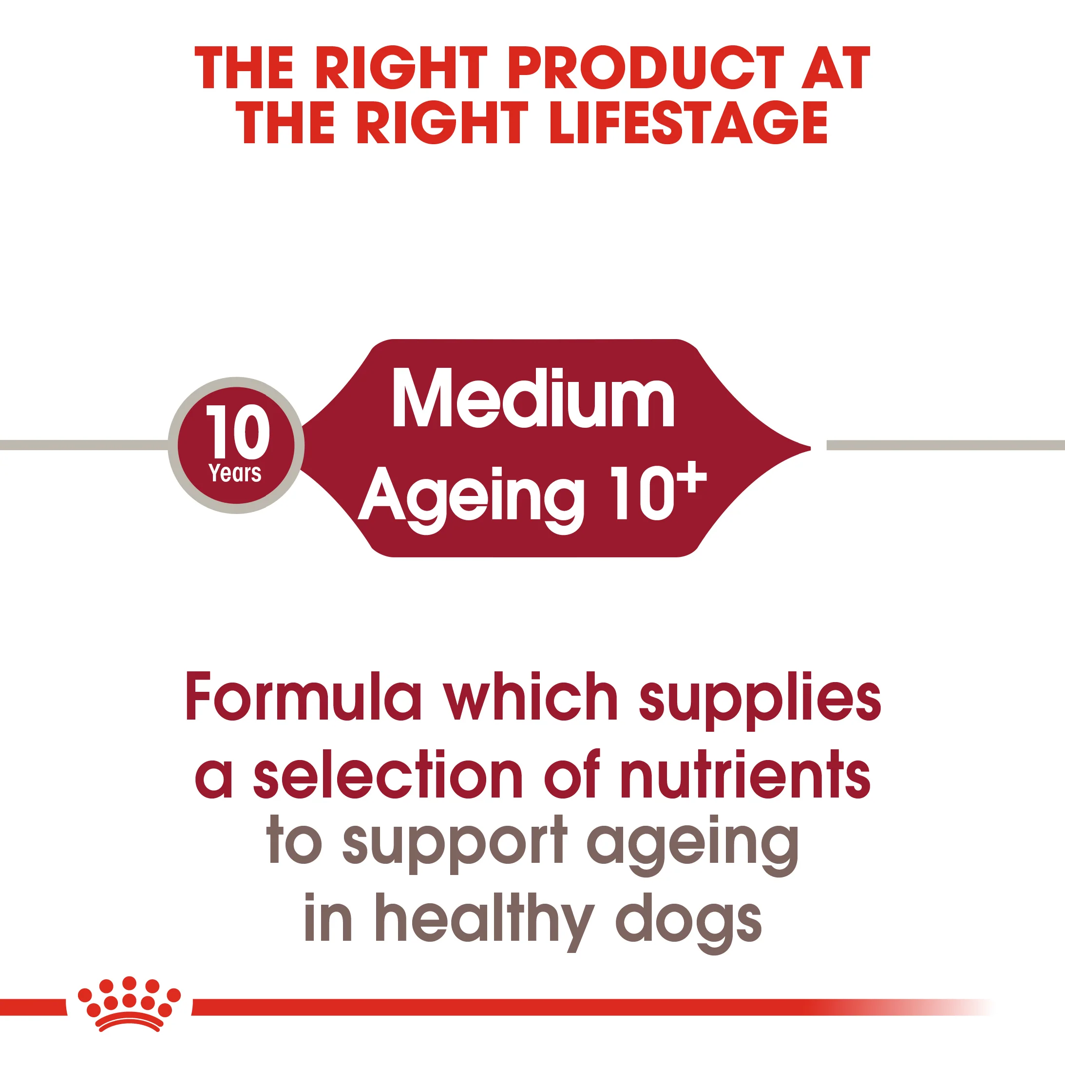 ROYAL CANIN® Medium Ageing 10+ Senior Dry Dog Food - Image 7