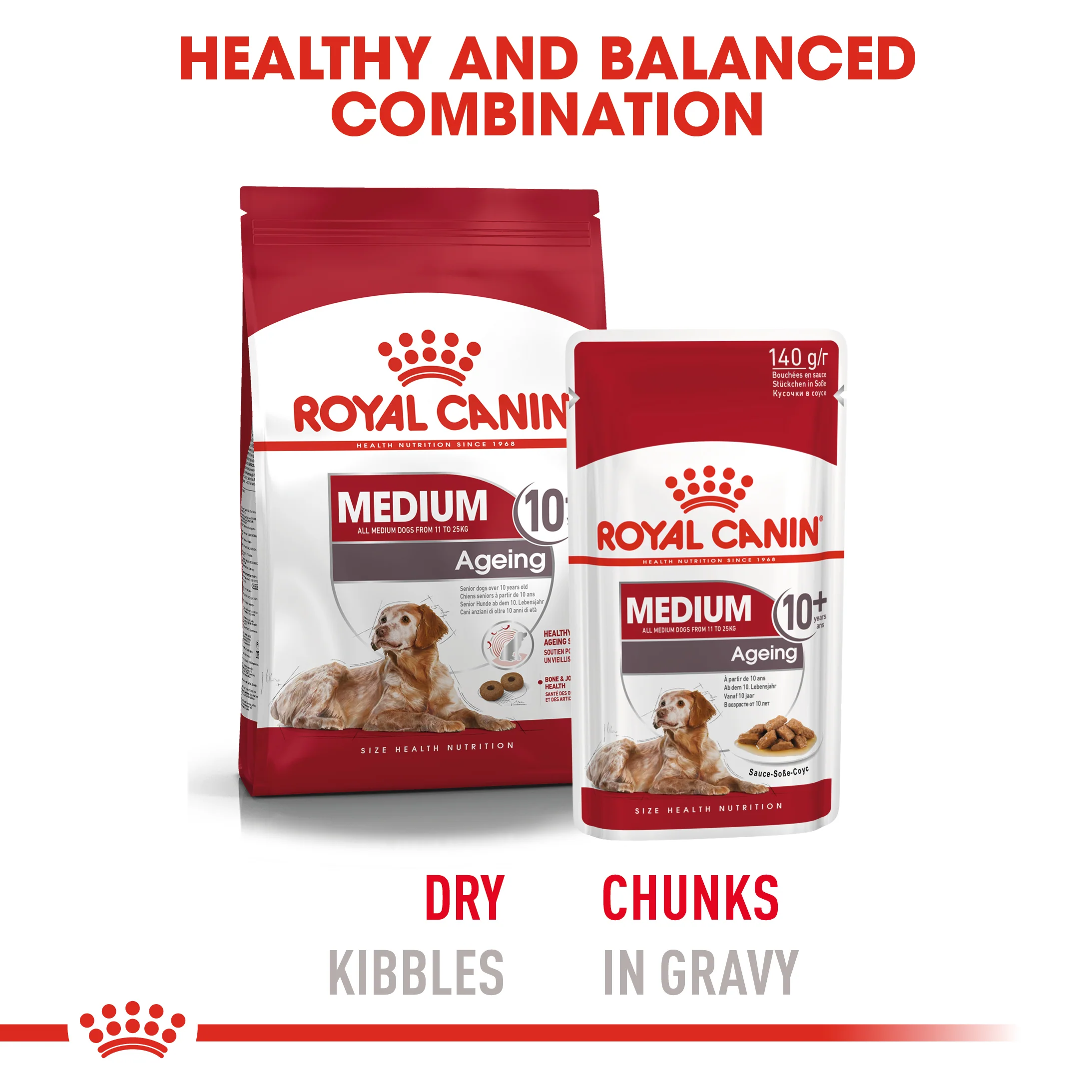 ROYAL CANIN® Medium Ageing 10+ Senior Dry Dog Food - Image 9