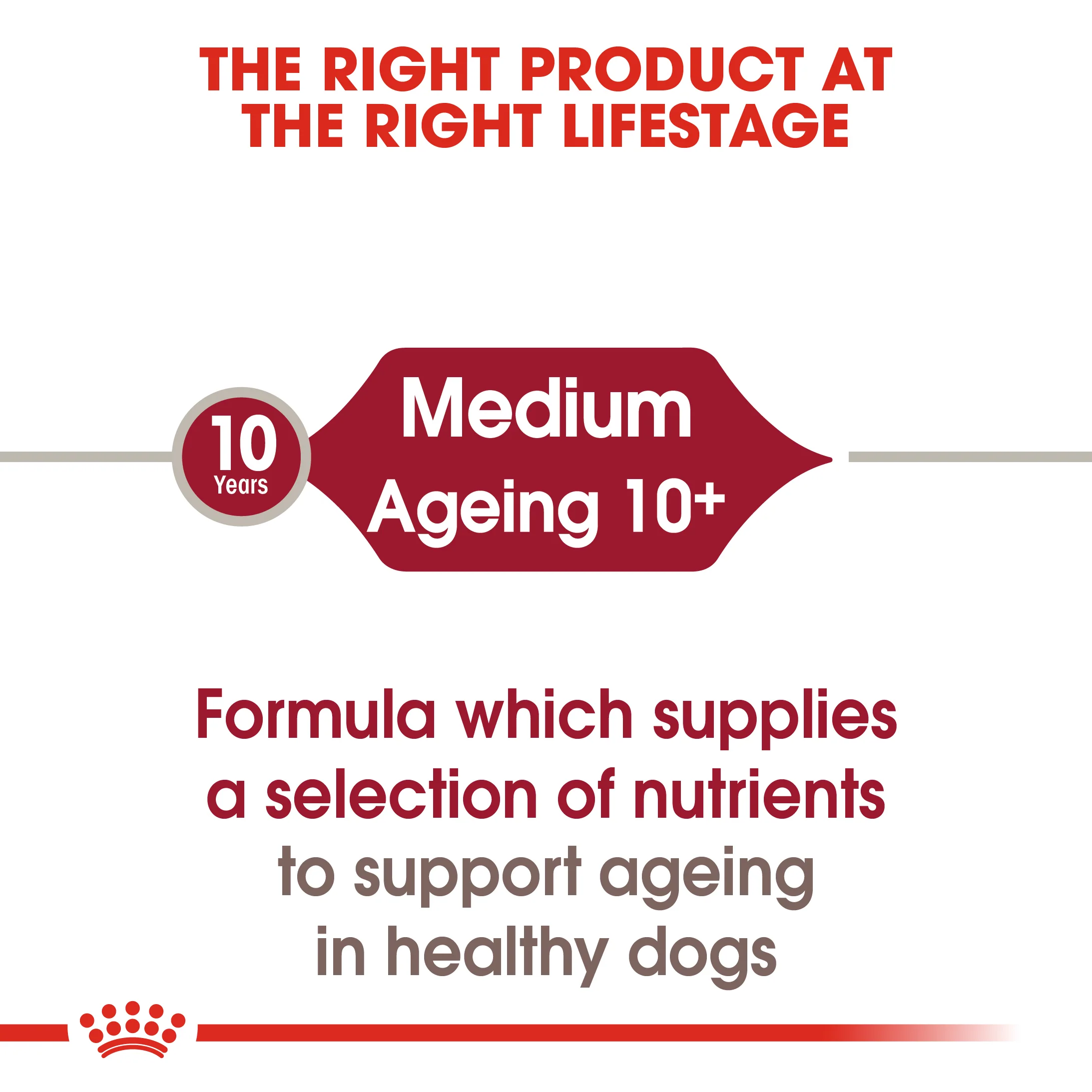 ROYAL CANIN® Medium Ageing 10+ Senior in Gravy Wet Dog Food - Image 11
