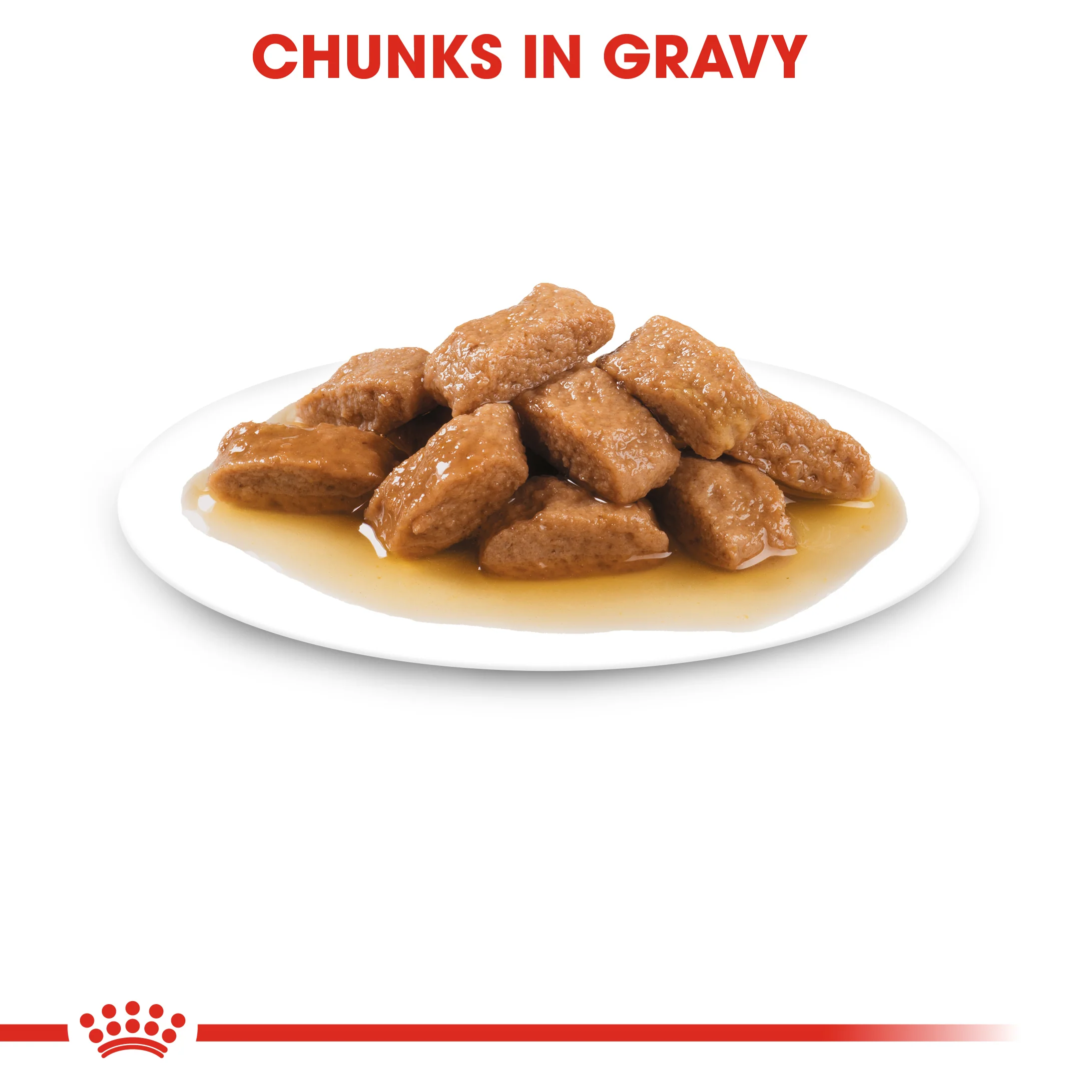 ROYAL CANIN® Medium Ageing 10+ Senior in Gravy Wet Dog Food - Image 2