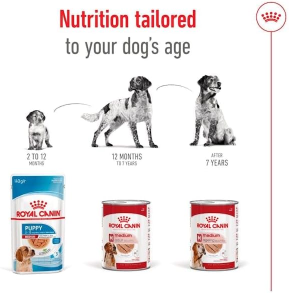 ROYAL CANIN® Medium Adult in Loaf 410g Wet Dog Food in Cans - Image 4