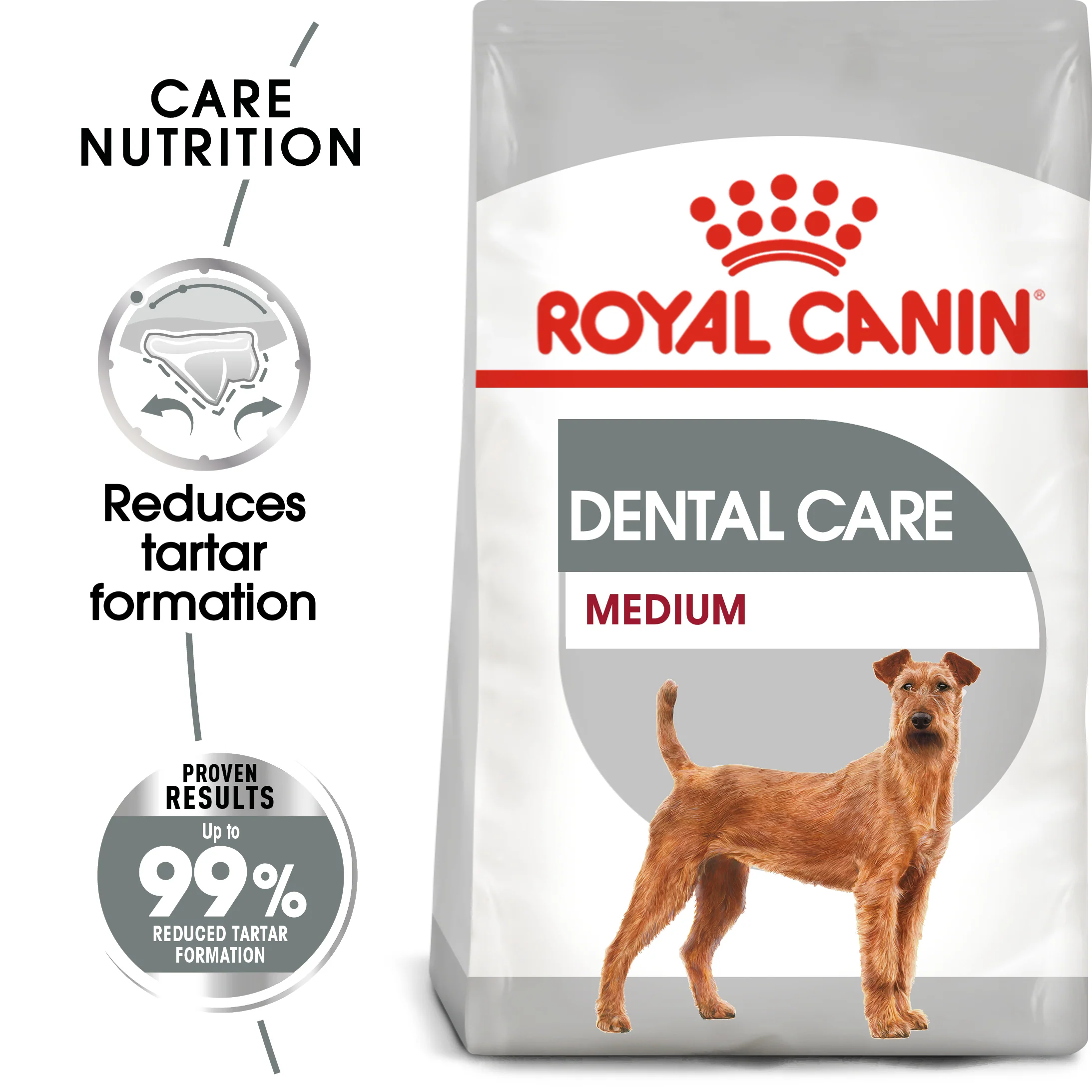 ROYAL CANIN® Medium Dental Care Adult Dry Dog Food - Image 11