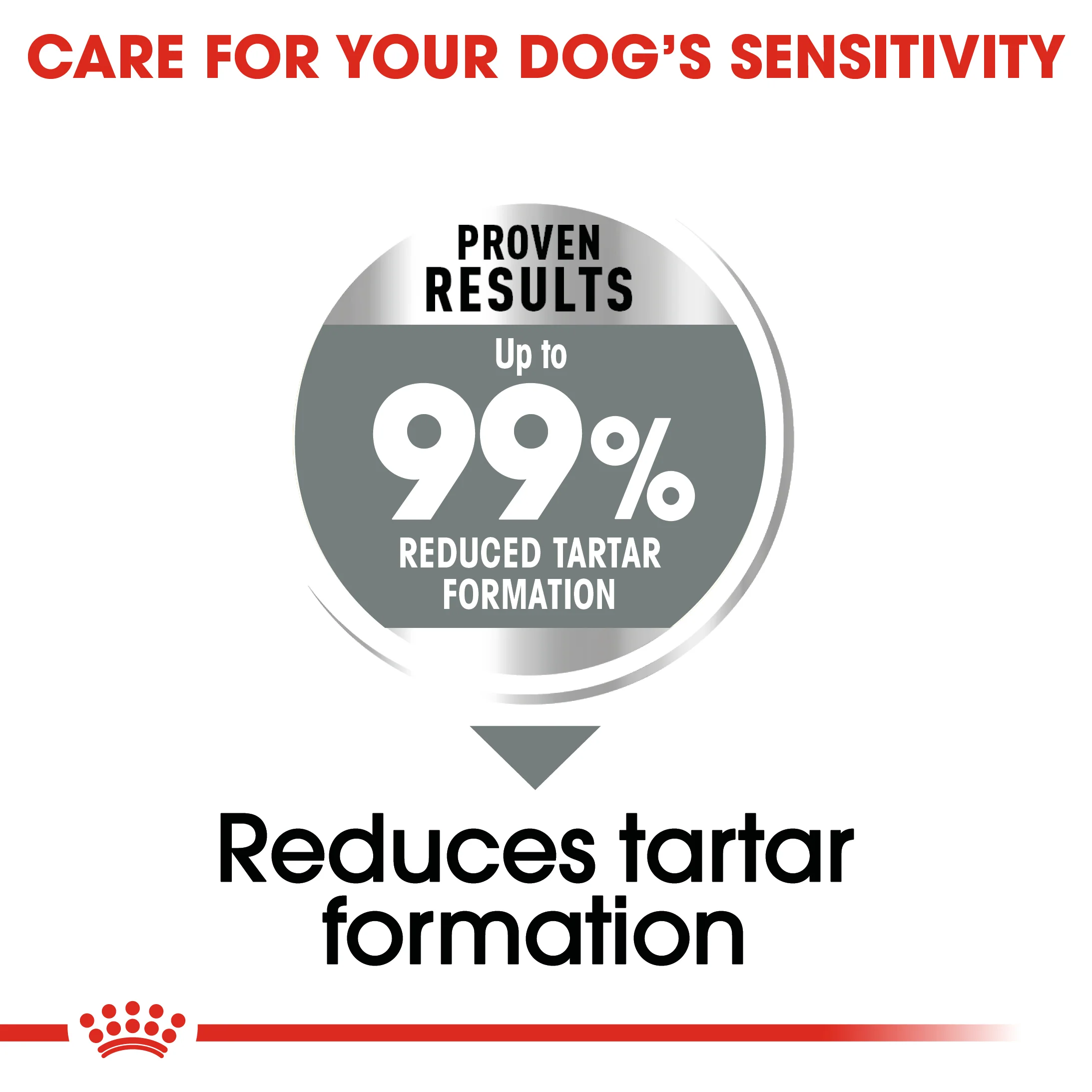 ROYAL CANIN® Medium Dental Care Adult Dry Dog Food - Image 5