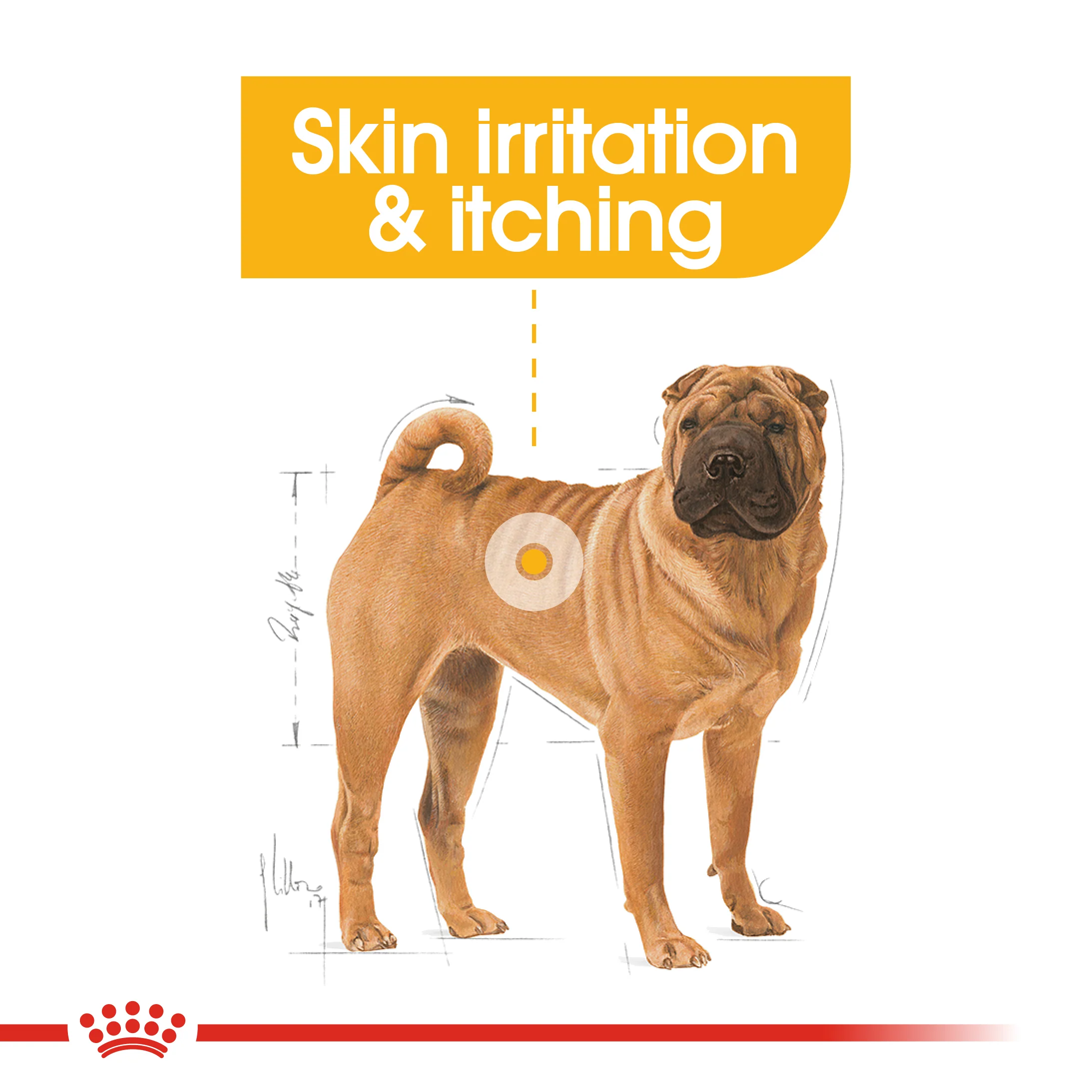 ROYAL CANIN® Medium Dermacomfort Adult Dry Dog Food - Image 12
