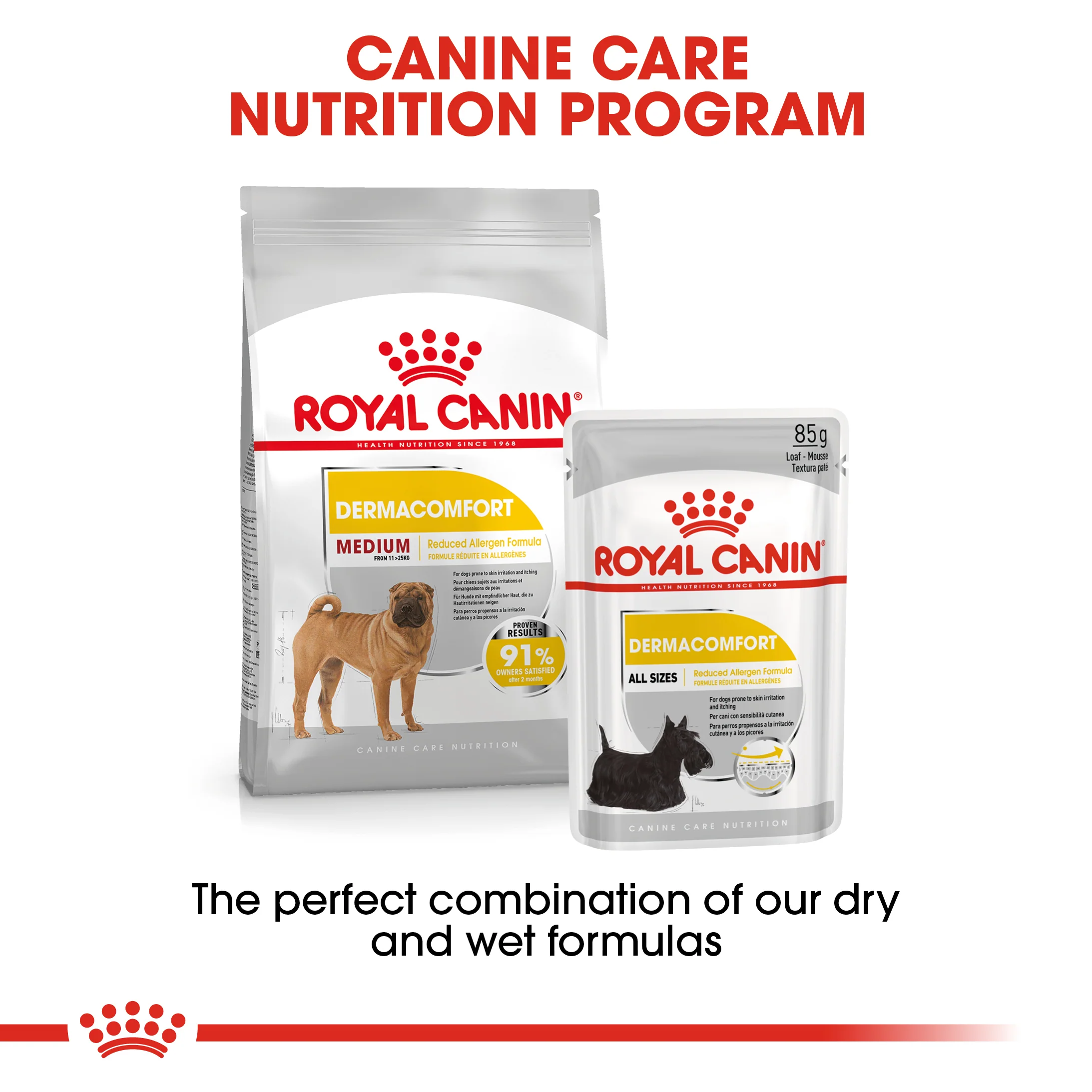 ROYAL CANIN® Medium Dermacomfort Adult Dry Dog Food - Image 13