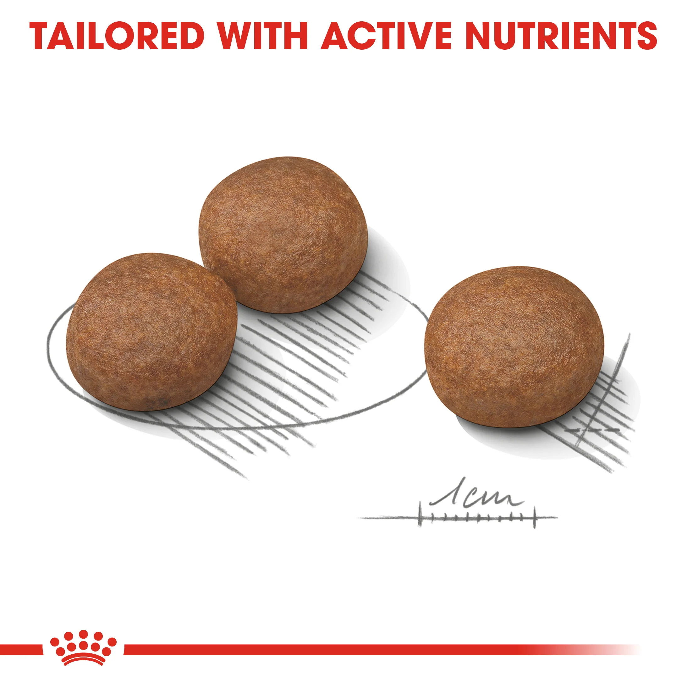 ROYAL CANIN® Medium Digestive Care Adult Dry Dog Food - Image 2