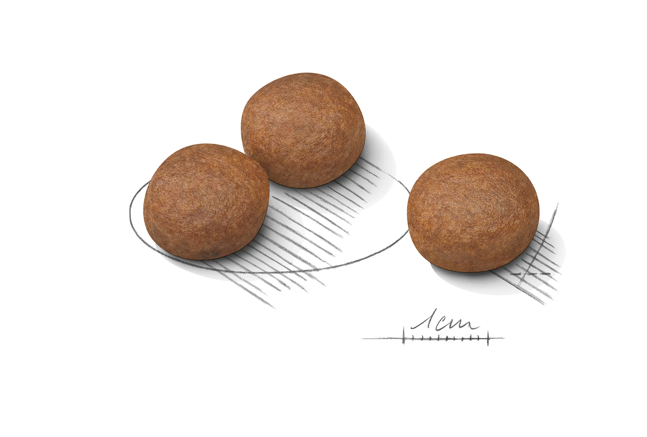 ROYAL CANIN® Medium Digestive Care Adult Dry Dog Food - Image 6