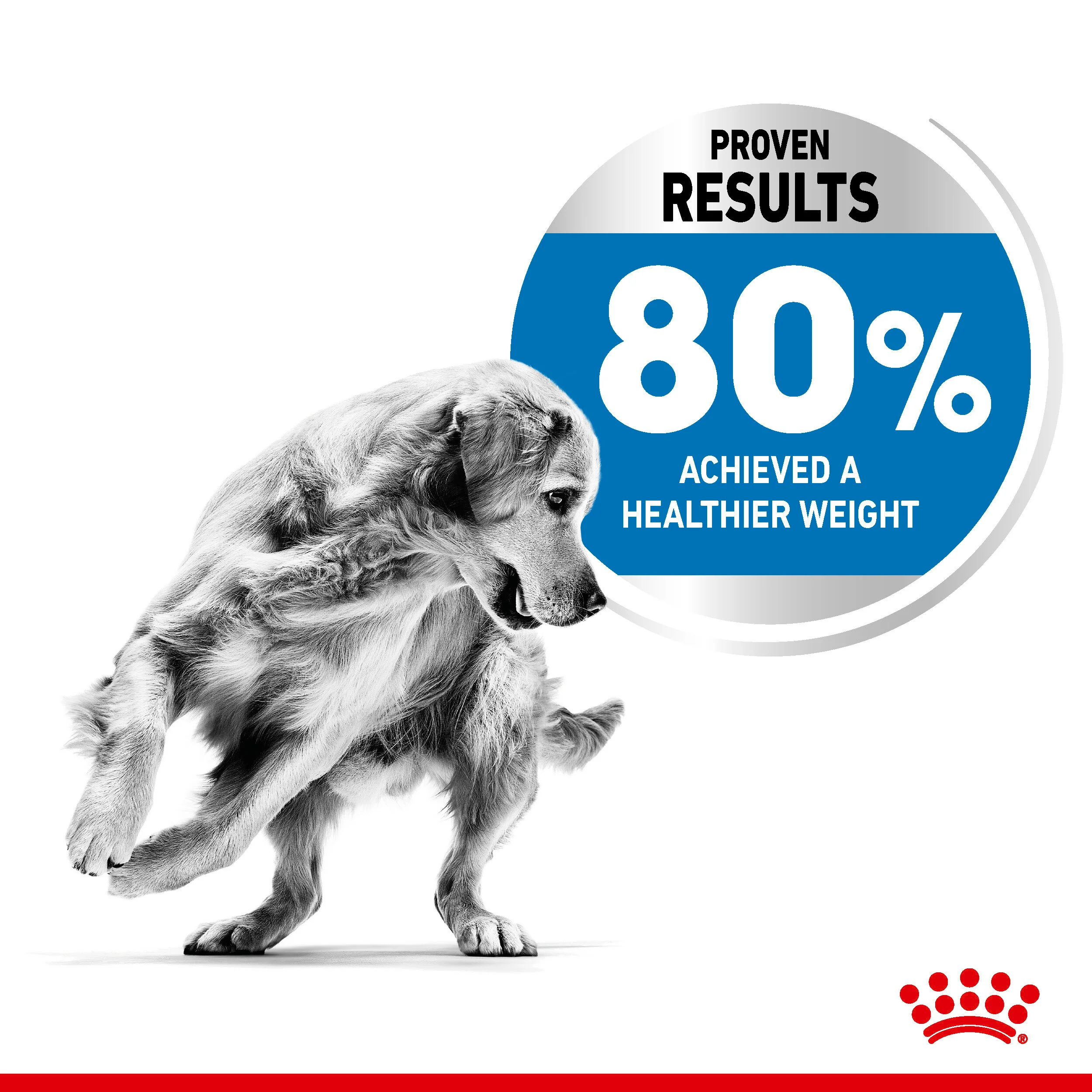 ROYAL CANIN® Medium Light Weight Care Adult Dry Dog Food - Image 11