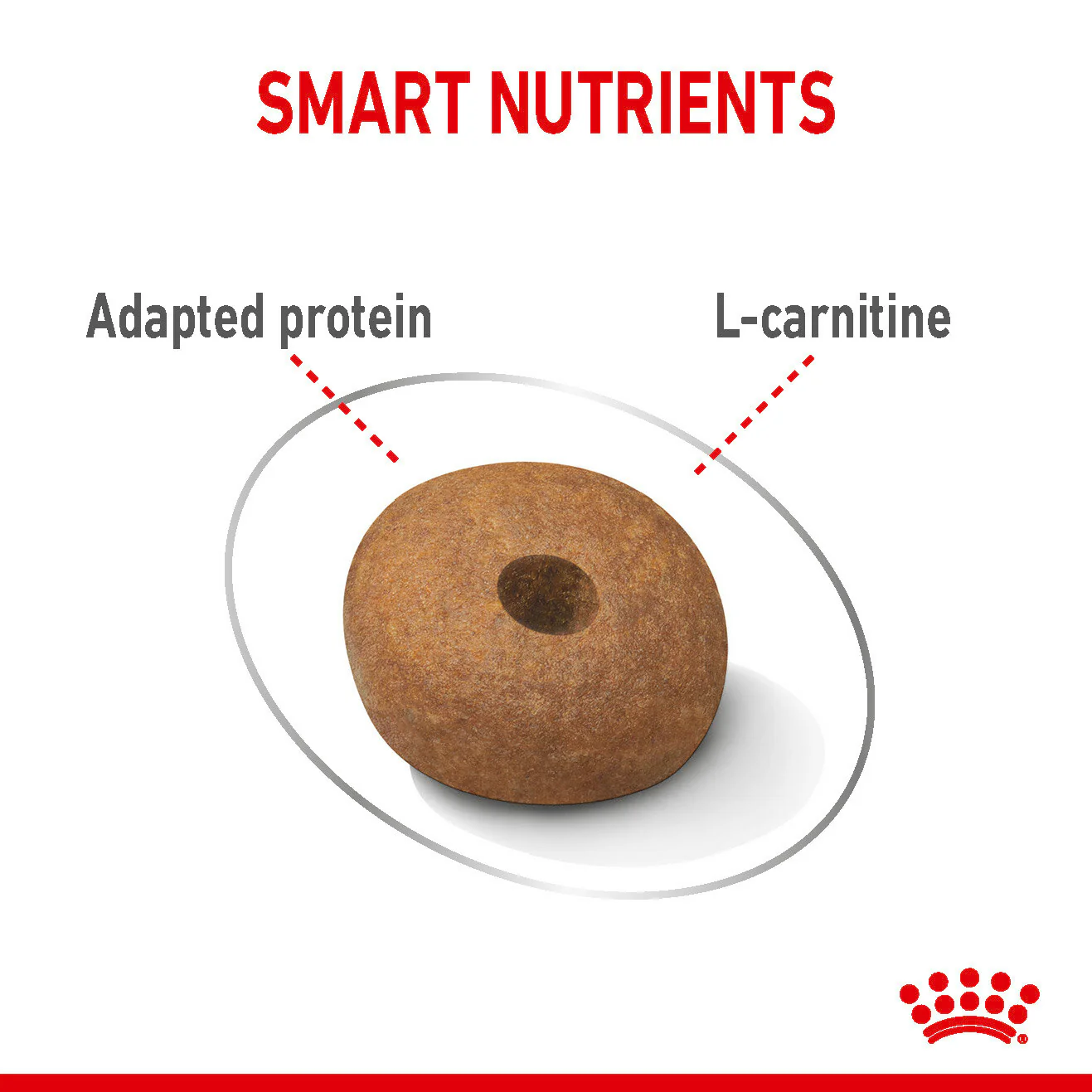 ROYAL CANIN® Medium Light Weight Care Adult Dry Dog Food - Image 2