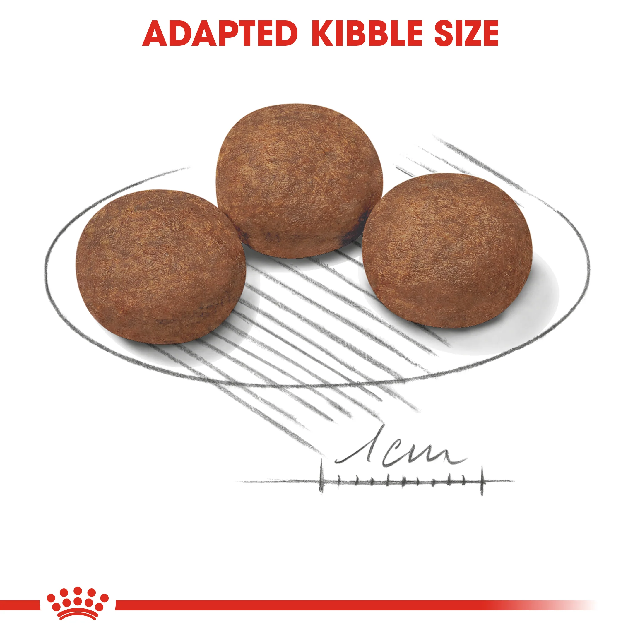 ROYAL CANIN® Medium Puppy Dry Dog Food - Image 2