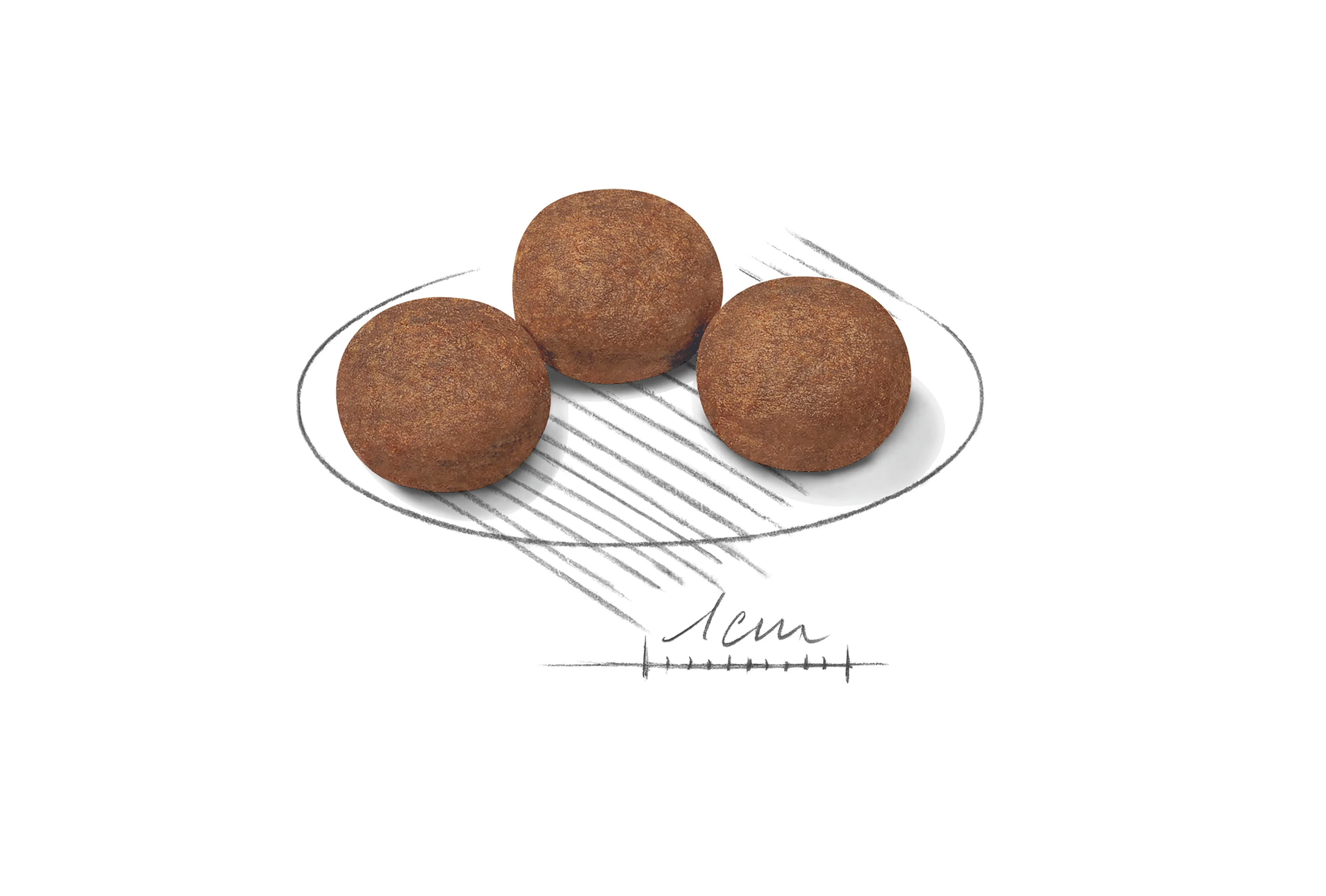 ROYAL CANIN® Medium Puppy Dry Dog Food - Image 9