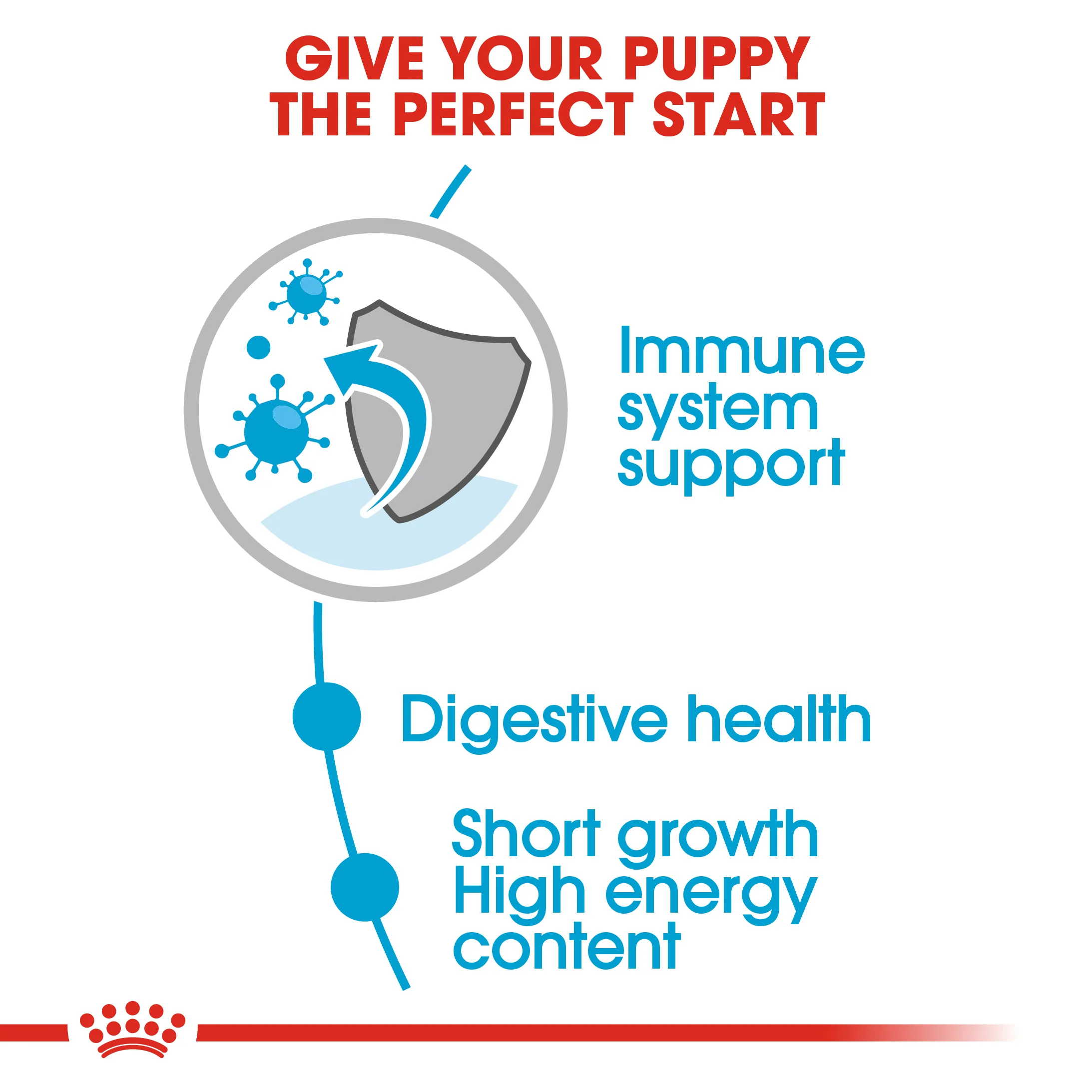 ROYAL CANIN® Medium Puppy in Gravy Wet Food - Image 12