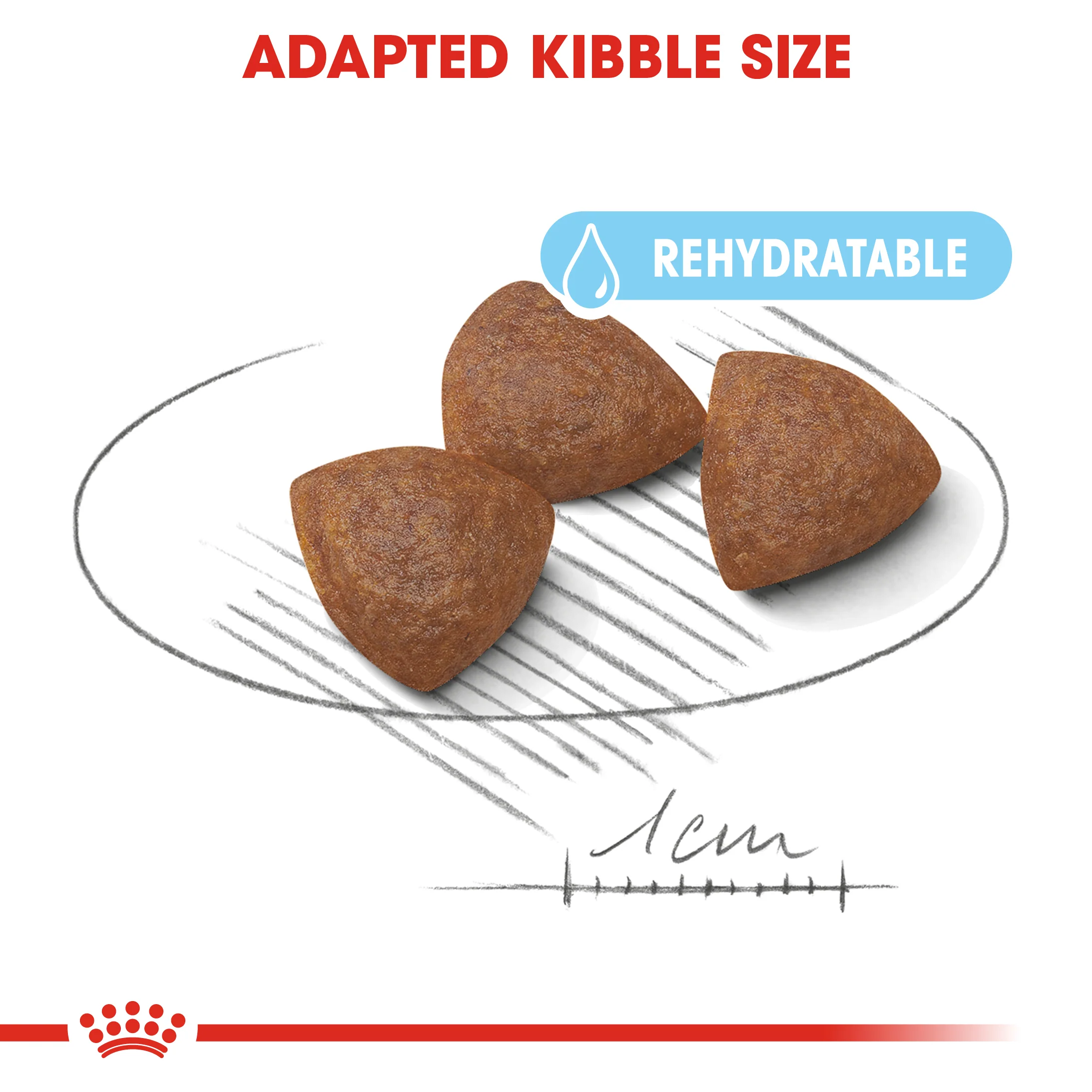 ROYAL CANIN® Medium Starter Mother & Babydog Adult and Puppy Dry Food - Image 2