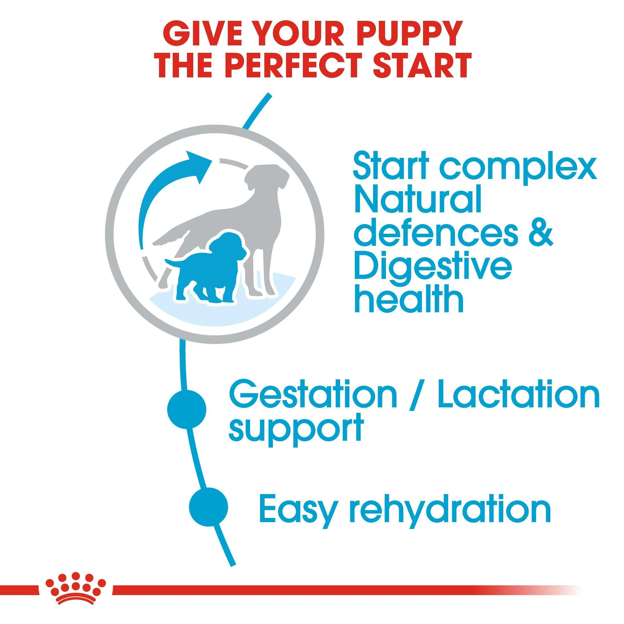 ROYAL CANIN® Medium Starter Mother & Babydog Adult and Puppy Dry Food - Image 5