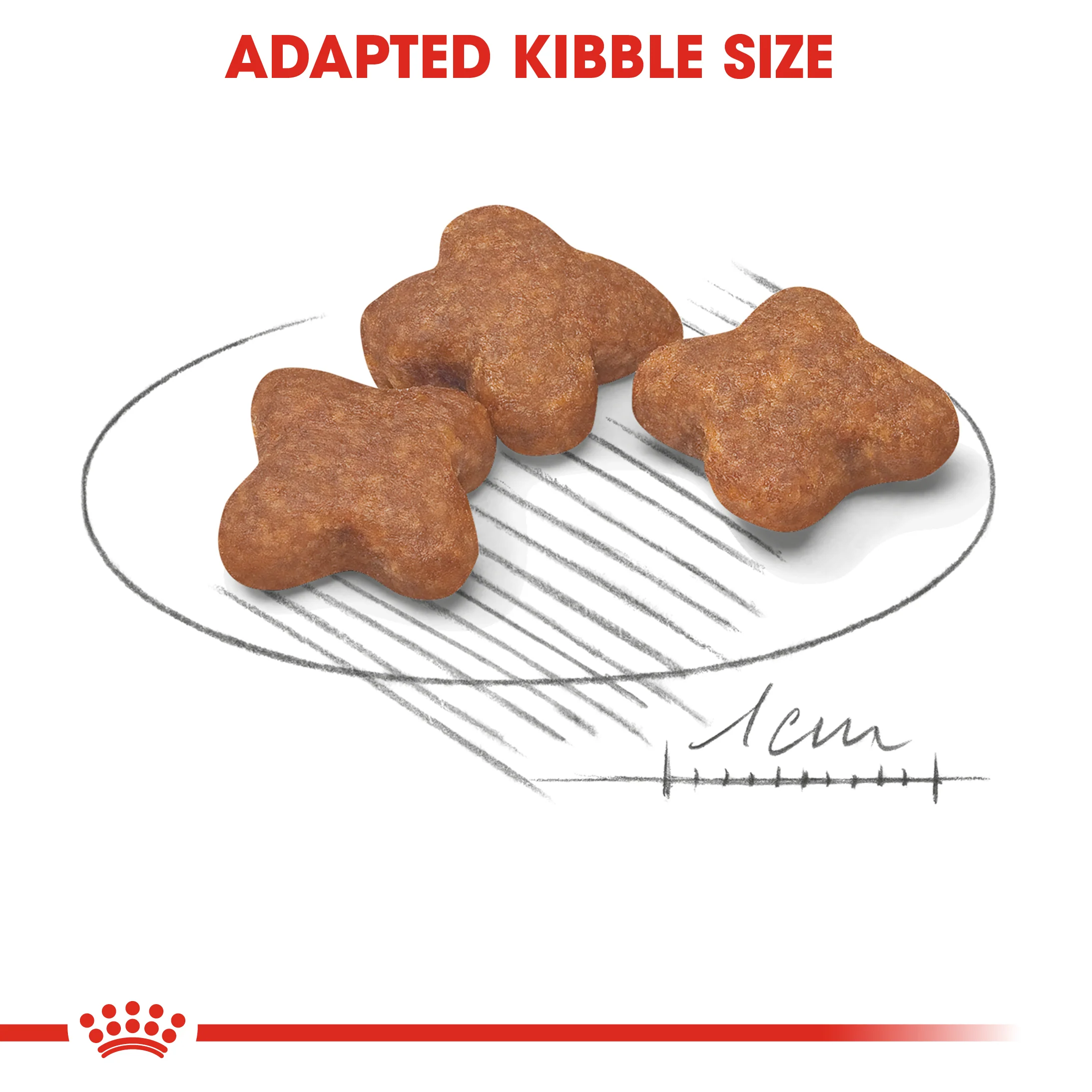 ROYAL CANIN® Mini Adult 8+ Dry Dog Food - Image 2