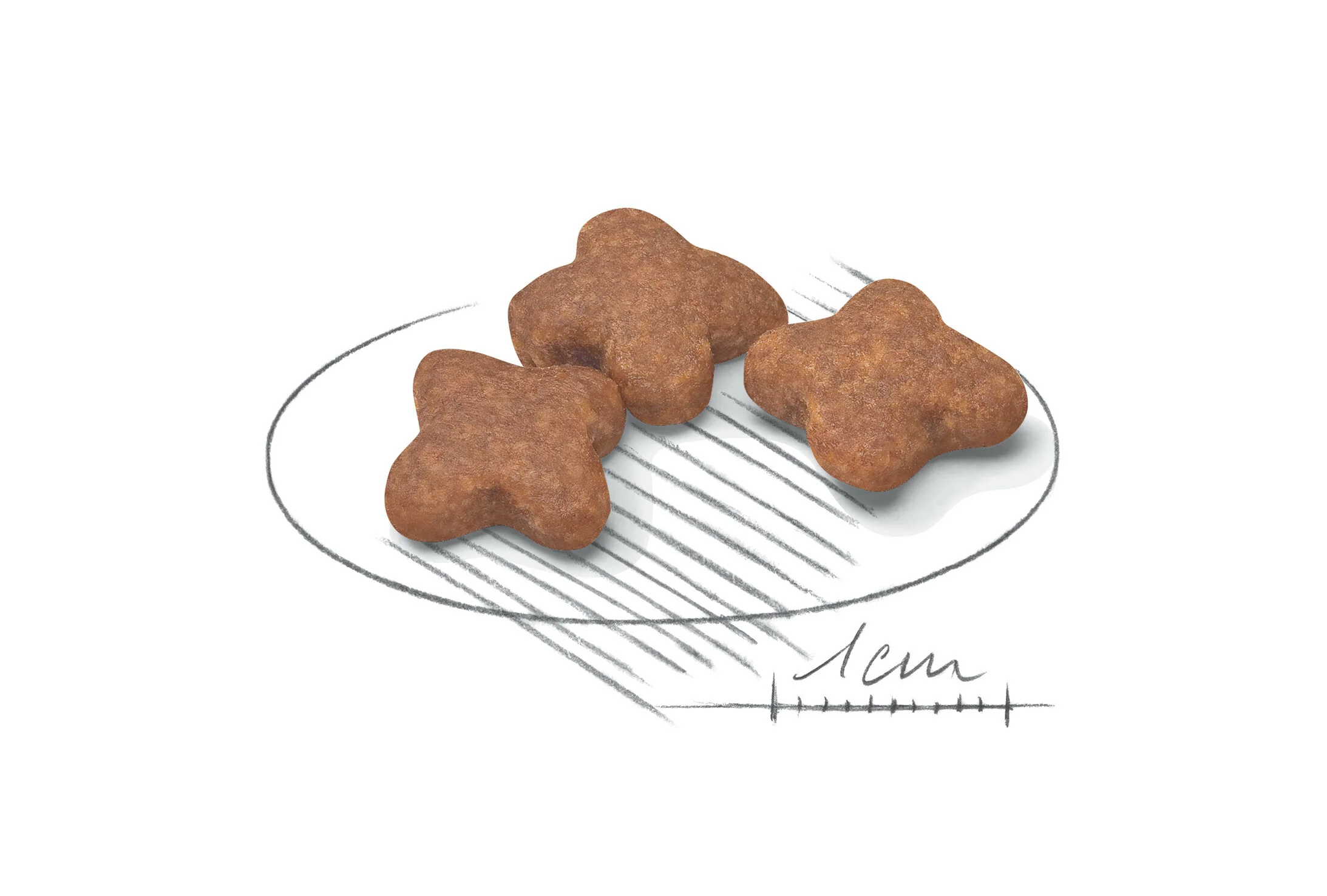 ROYAL CANIN® Mini Adult 8+ Dry Dog Food - Image 3