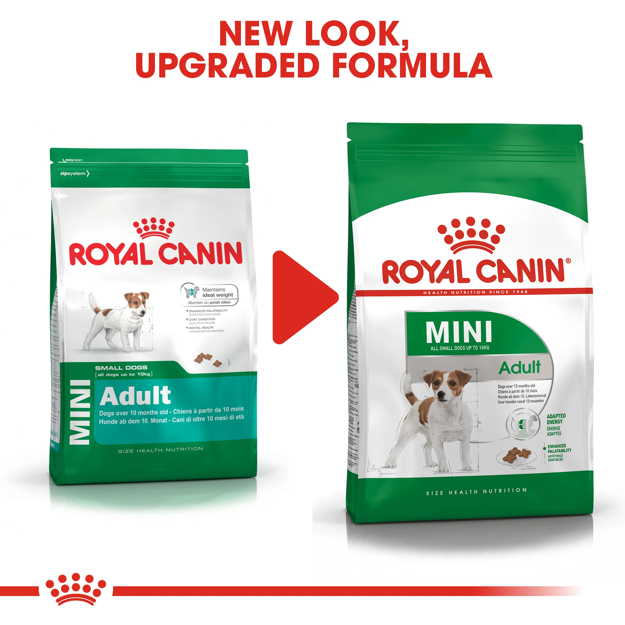 ROYAL CANIN® Mini Adult Dry Dog Food - Image 12
