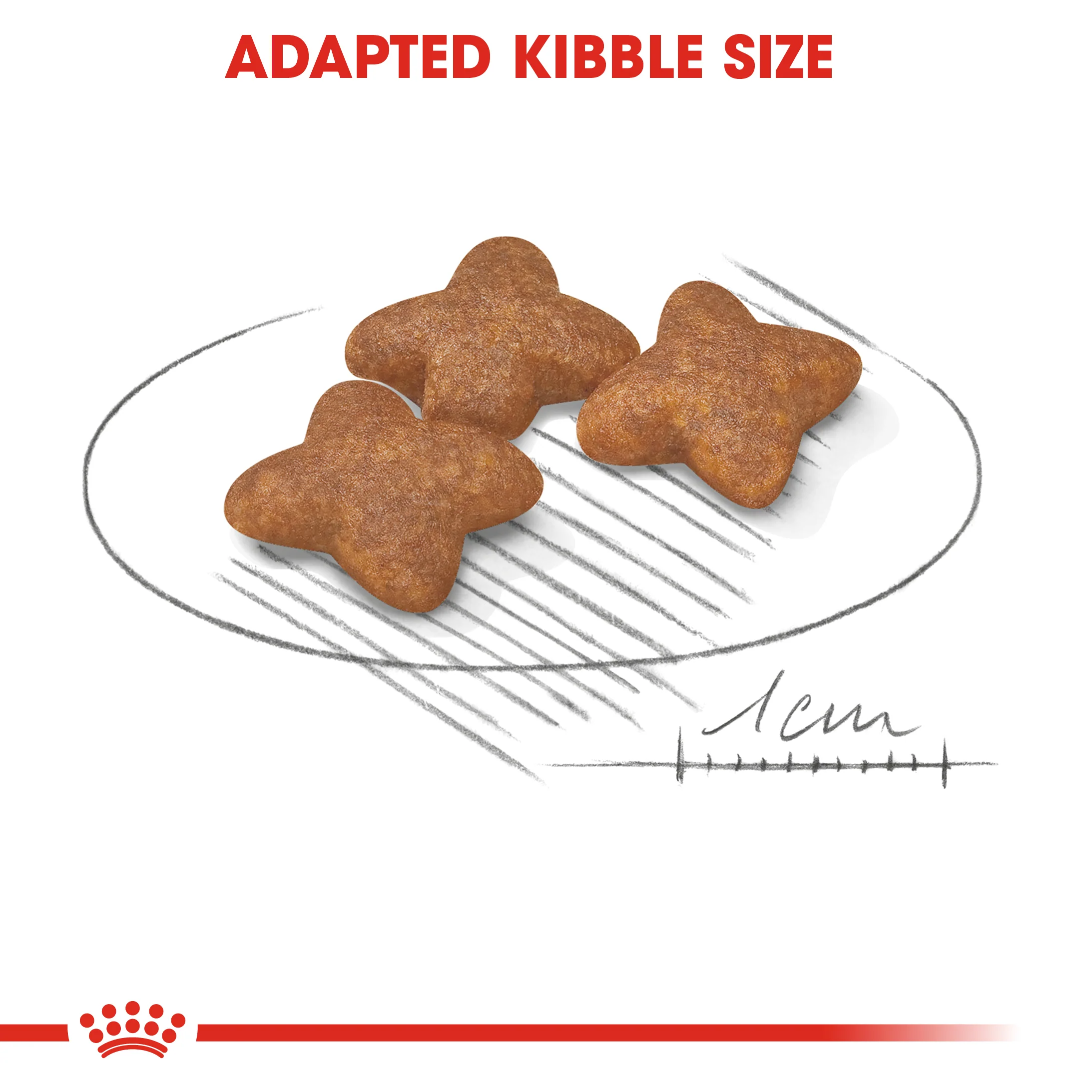 ROYAL CANIN® Mini Adult Dry Dog Food - Image 2