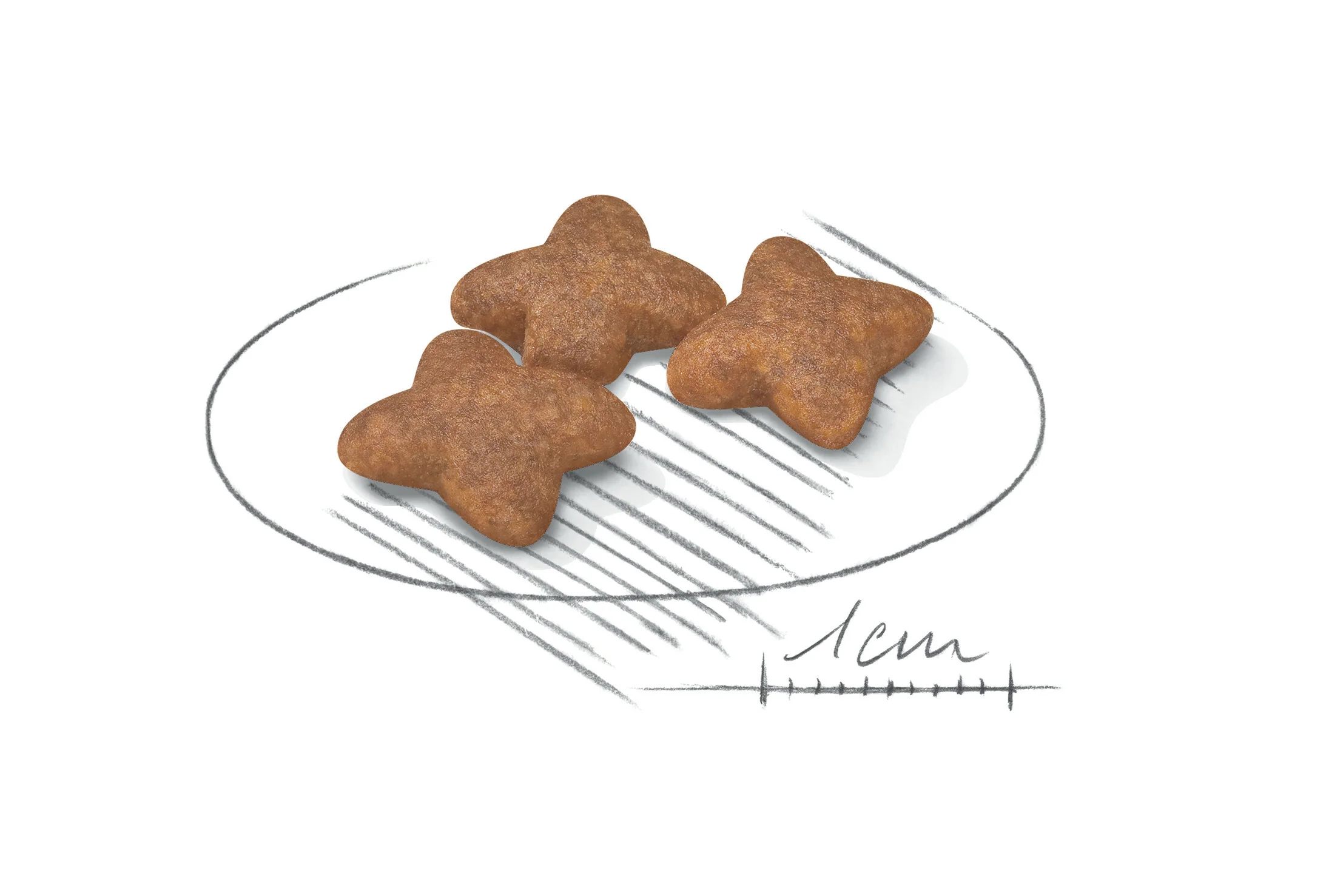 ROYAL CANIN® Mini Adult Dry Dog Food - Image 4