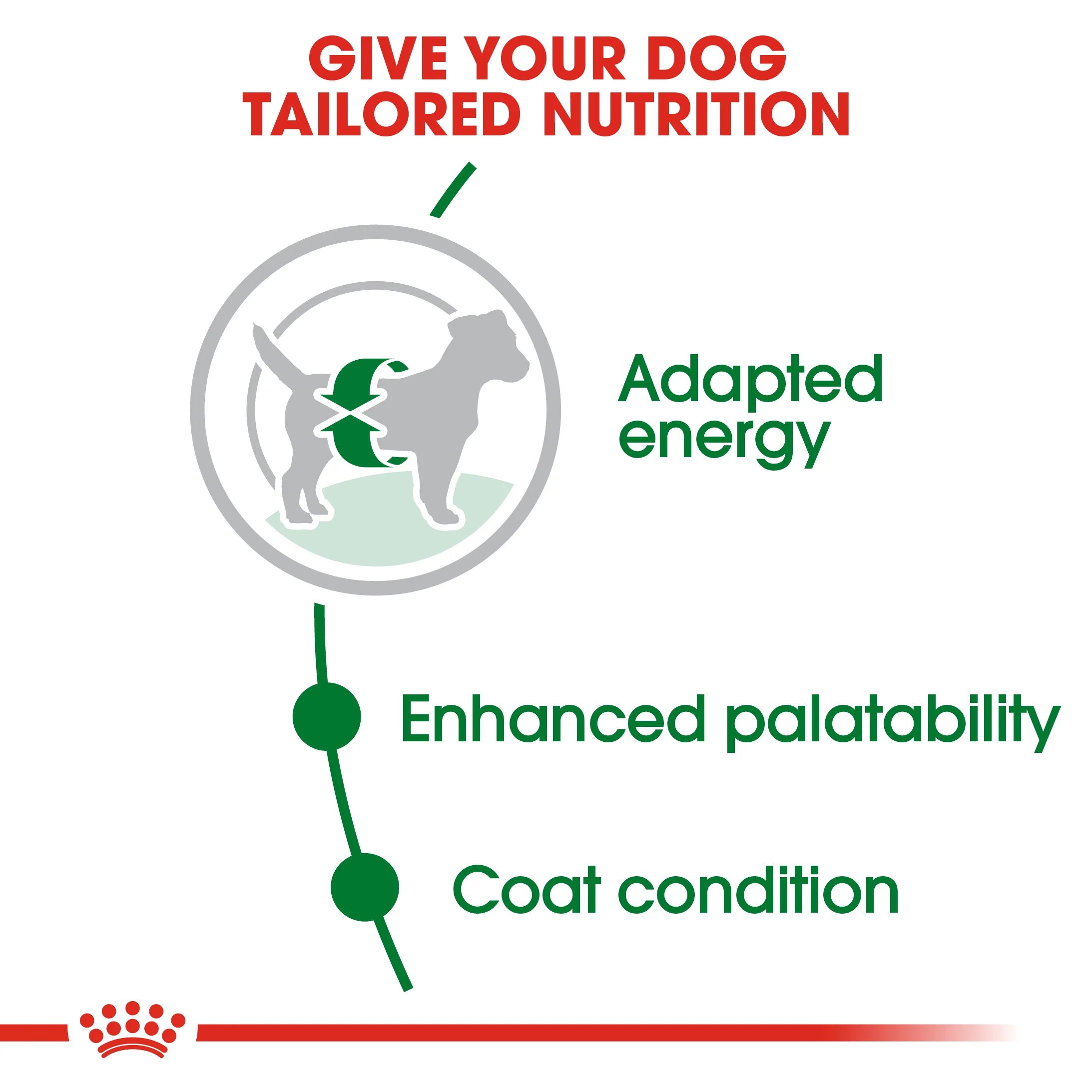 ROYAL CANIN® Mini Adult Dry Dog Food - Image 8