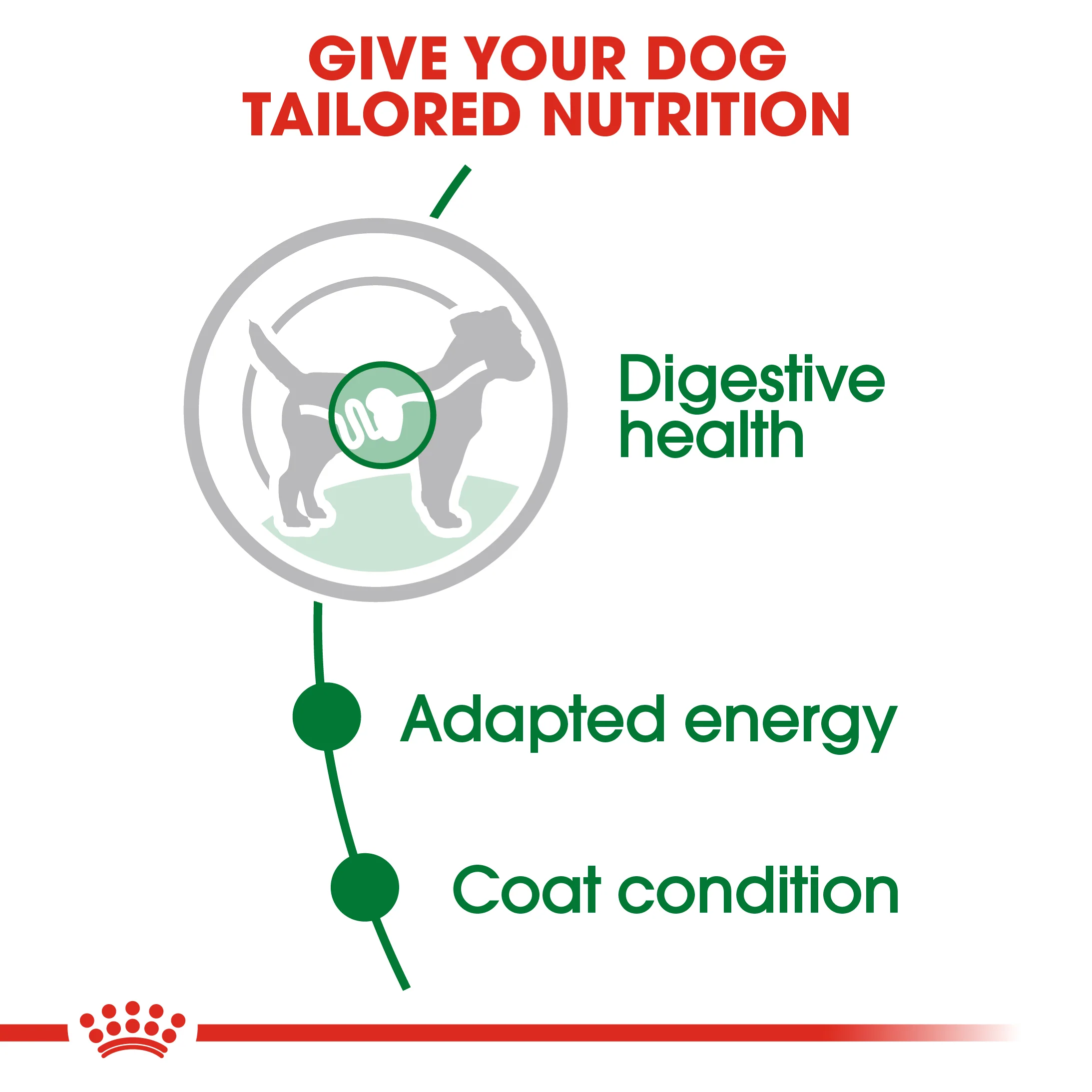 ROYAL CANIN® Mini Adult in Gravy Wet Dog Food - Image 10